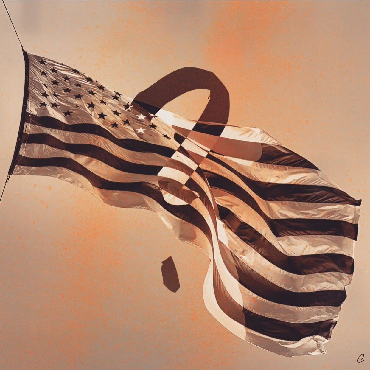 What Are We Fighting For?