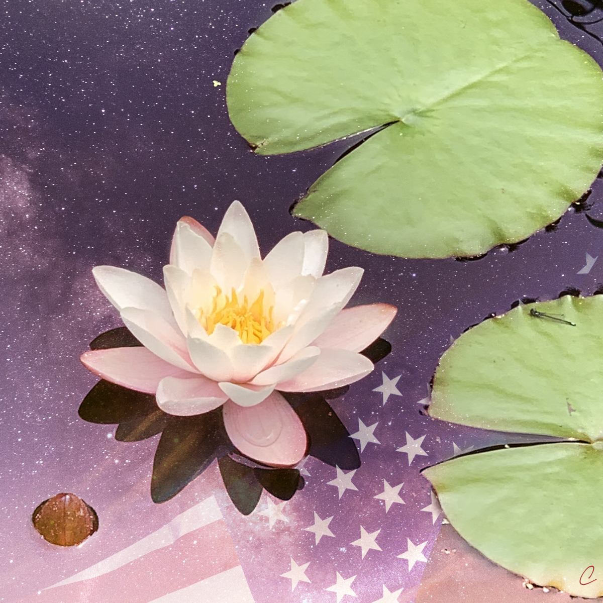 And the Next Plot Twist Is?