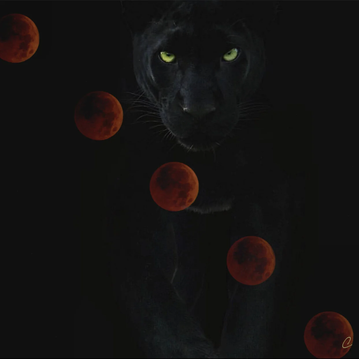 Are You Afraid of the Dark?