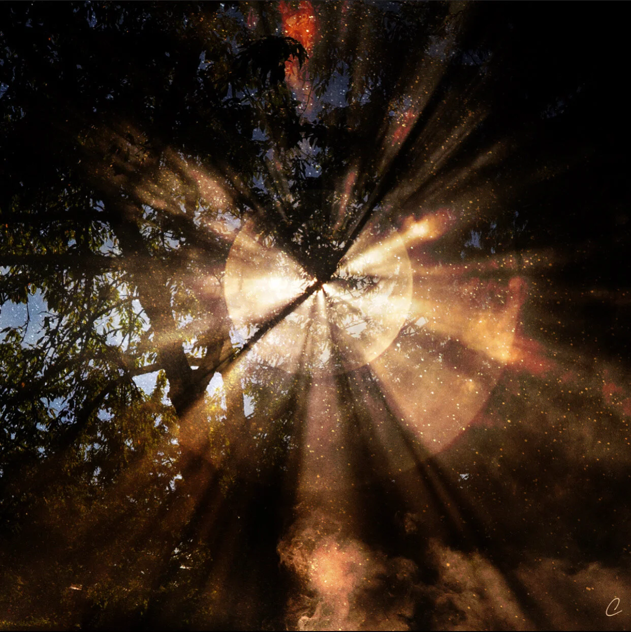 What Did You Learn in 2020?