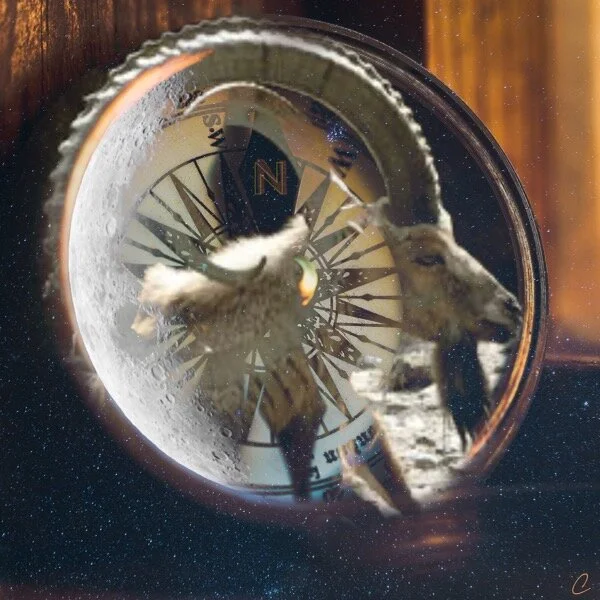 From Where Does Your Moral Compass Originate?