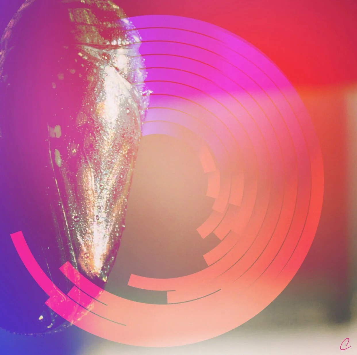 How Does It Feel to Become?