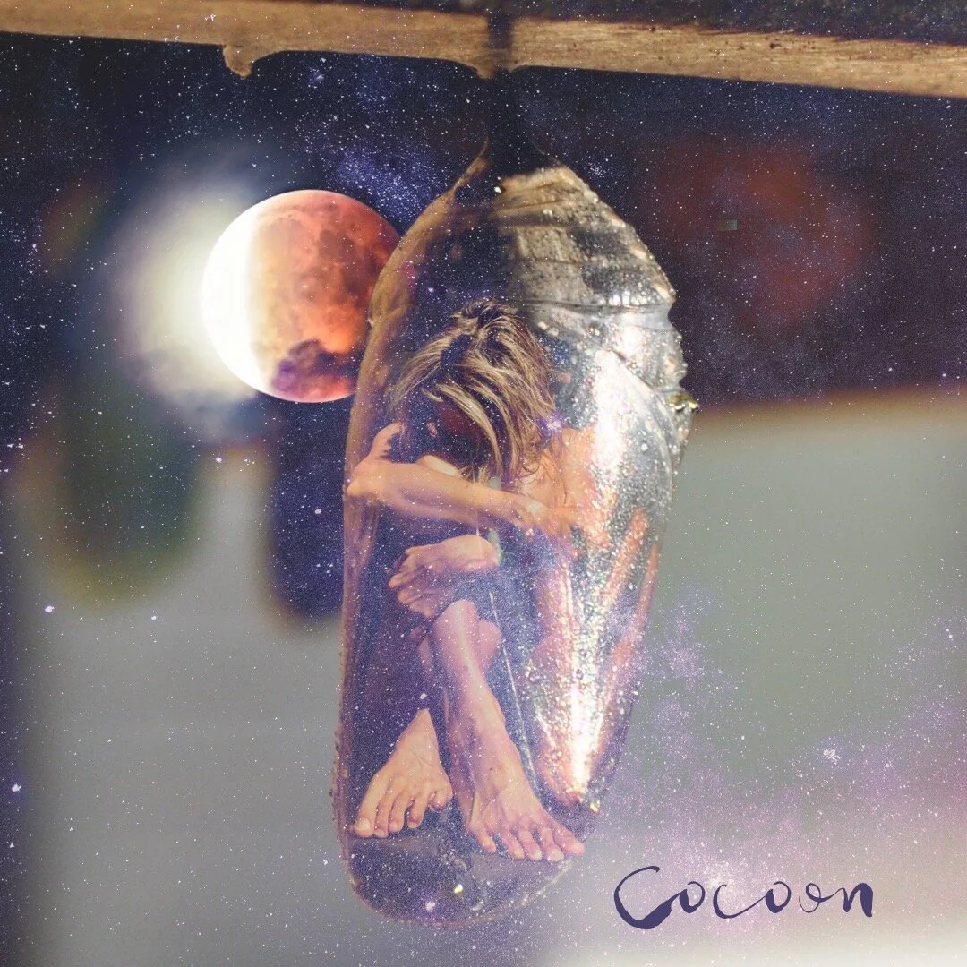What Are the Lyrics to Cocoon?