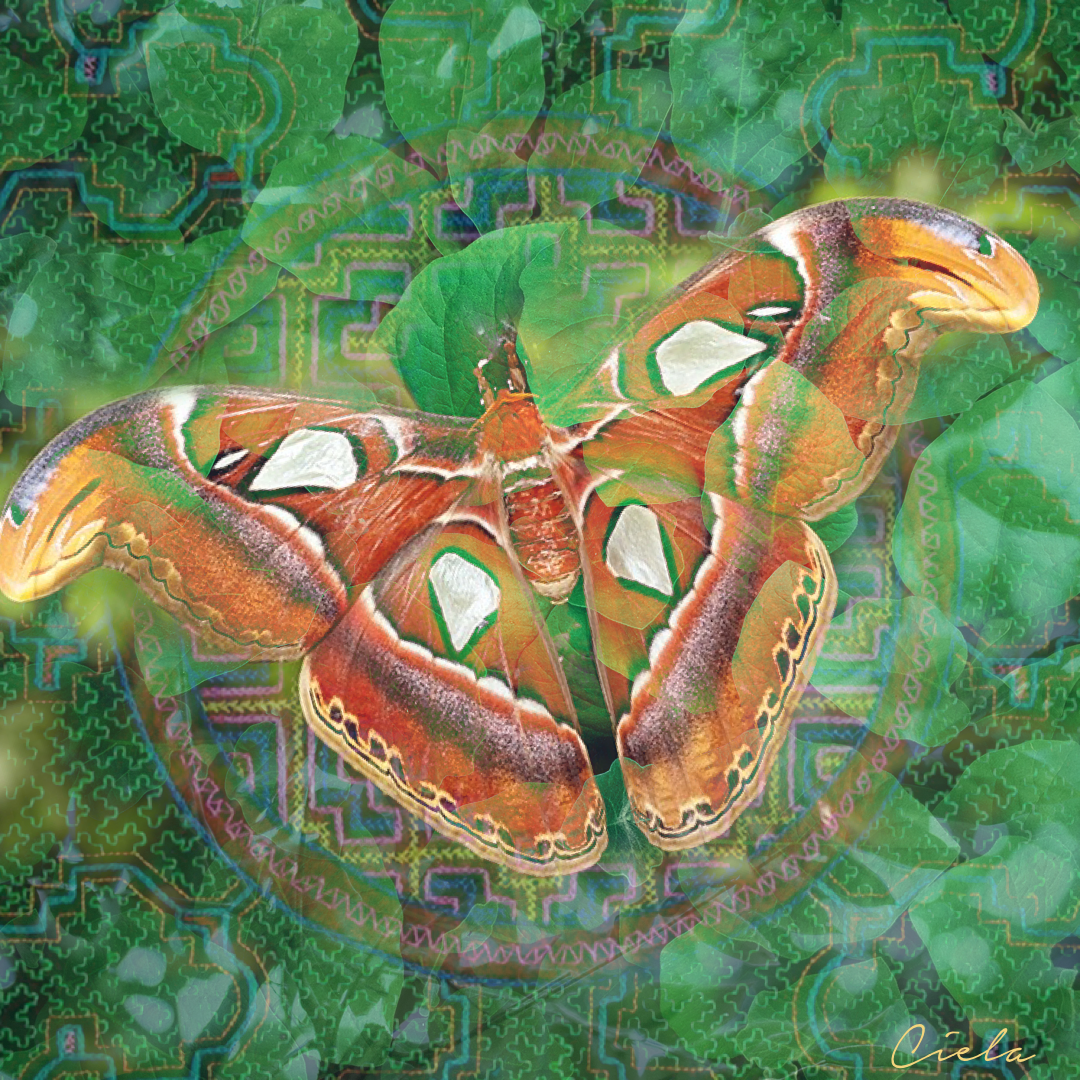 What's Your Jungle Story? (Part 1)