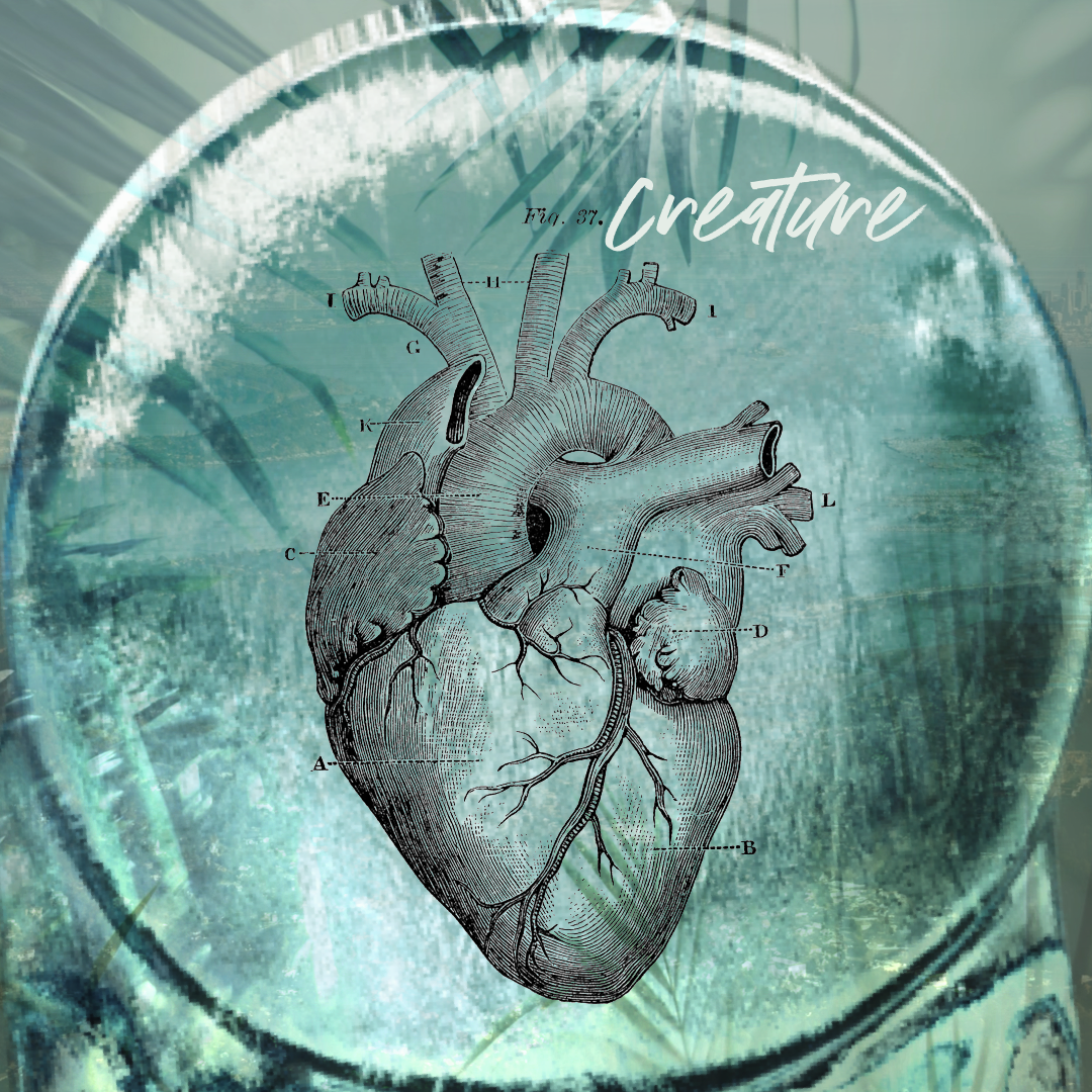 What Are the Lyrics to the Songs of MYTHOLOGY? Track 1