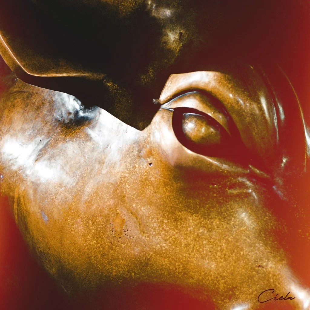 What Messages Bring These Dreams?