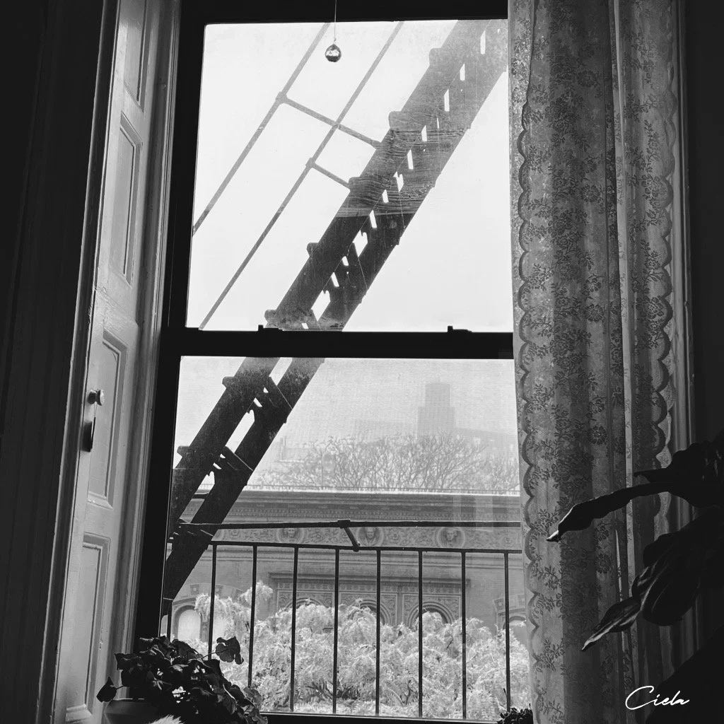 How Do You Weather a Storm?