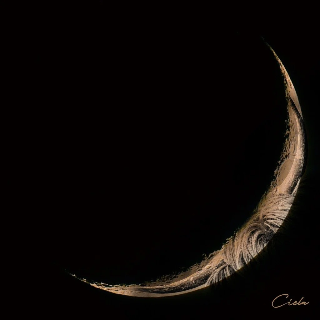 What Brings This New Moon?