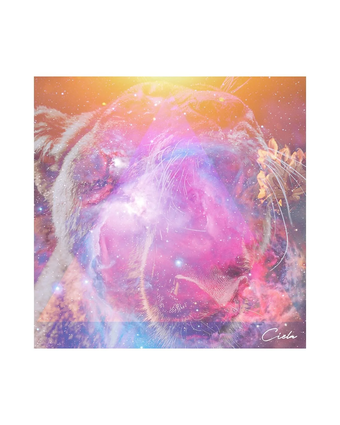 Happy Leo season! ♌️ 🦁 

Lights&hellip;Cameras&hellip;Leo! 🎥 

This is the golden era of the year, a fanfare of fuss and adoration for the glamorous. If your heart desires to shine, be sure it is your inner Leo who is front stage and center. Make n