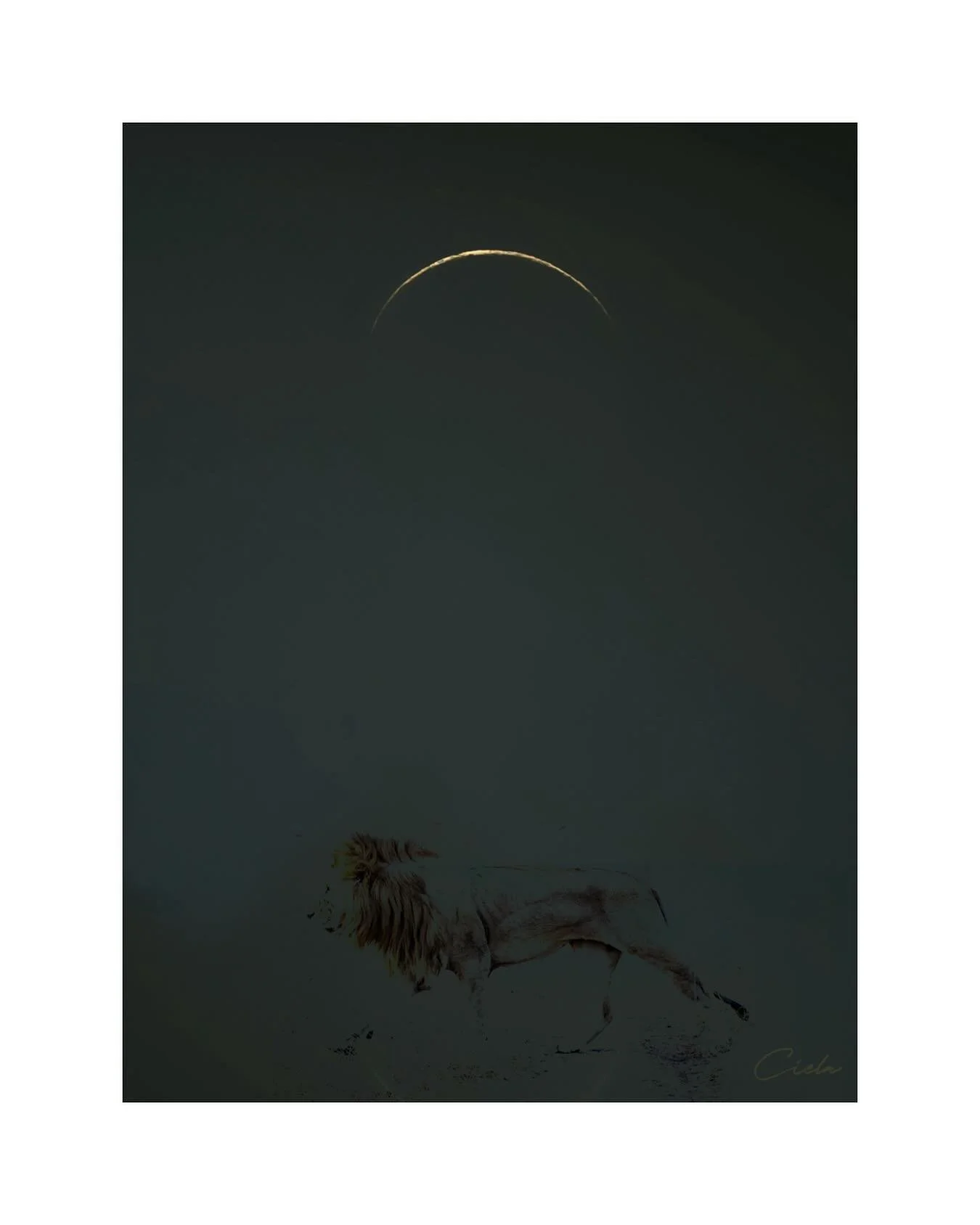 &ldquo;Too Soon New Moon?&rdquo; is now available on @substack 

She left too soon. There is no poetic way for me to describe the passing of my dearest friend Lyn; it was simply too soon. And yet, her life was a living poem. Breath of grace and heart