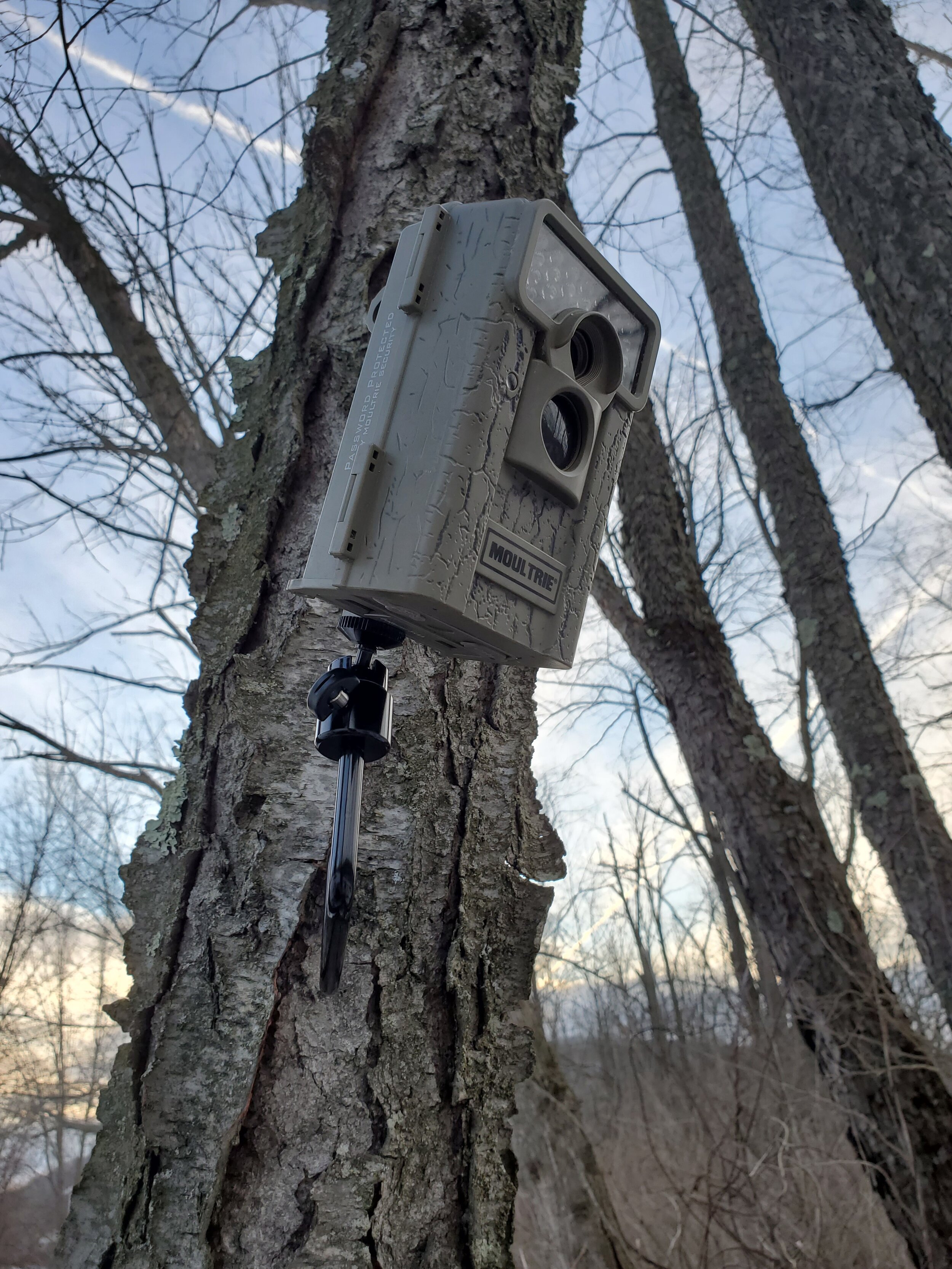 Highwild Trail Camera Holder Tree Screw Mounting Bracket Pack of 3