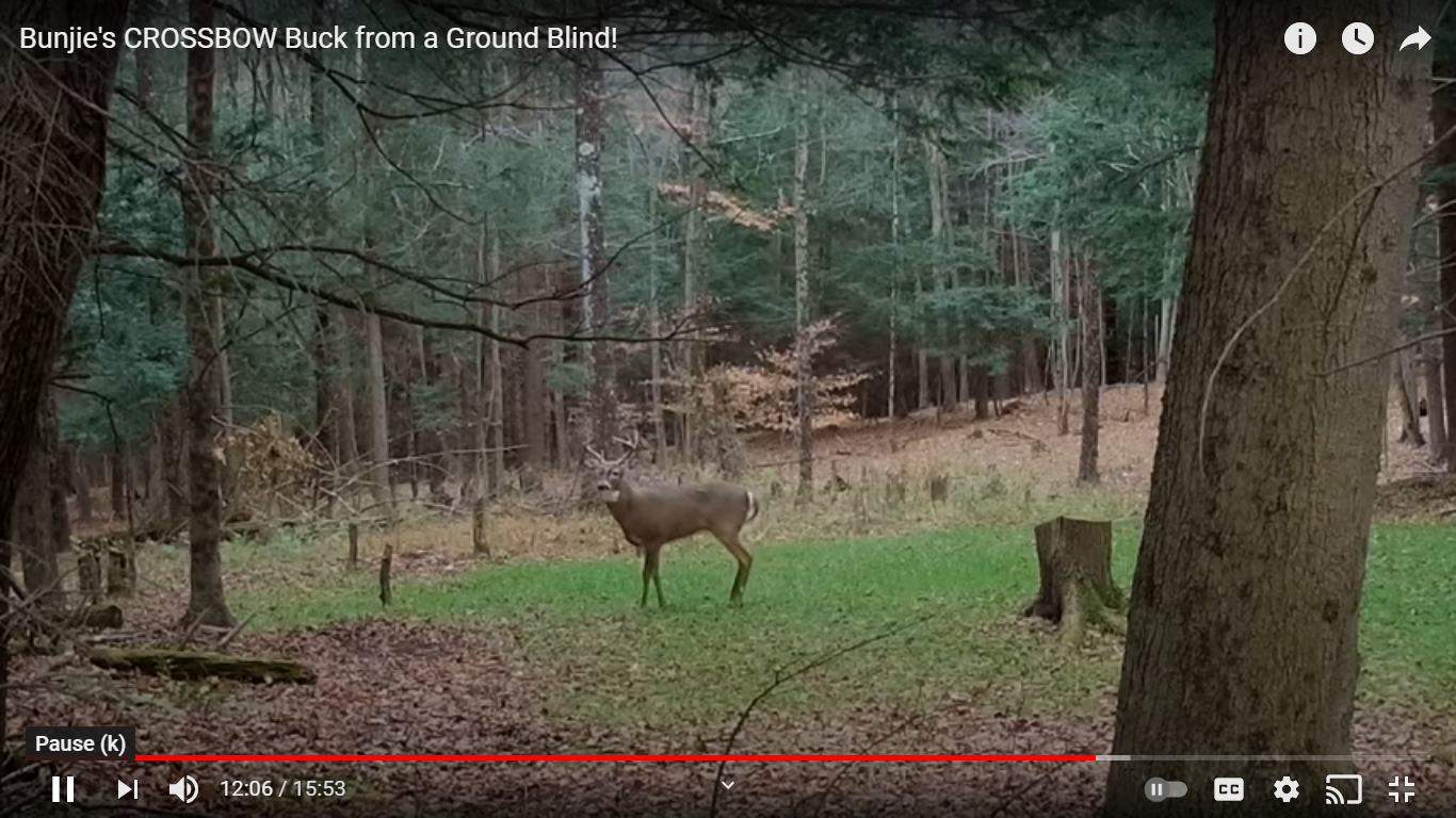 What Camera is Best for Filming Your Own Hunts? — Death by Bunjie