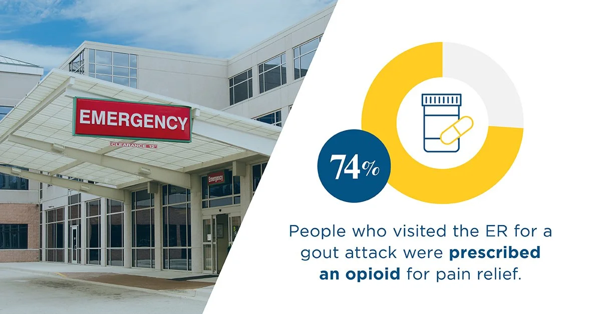 National Survey of Gout Patients Graphics