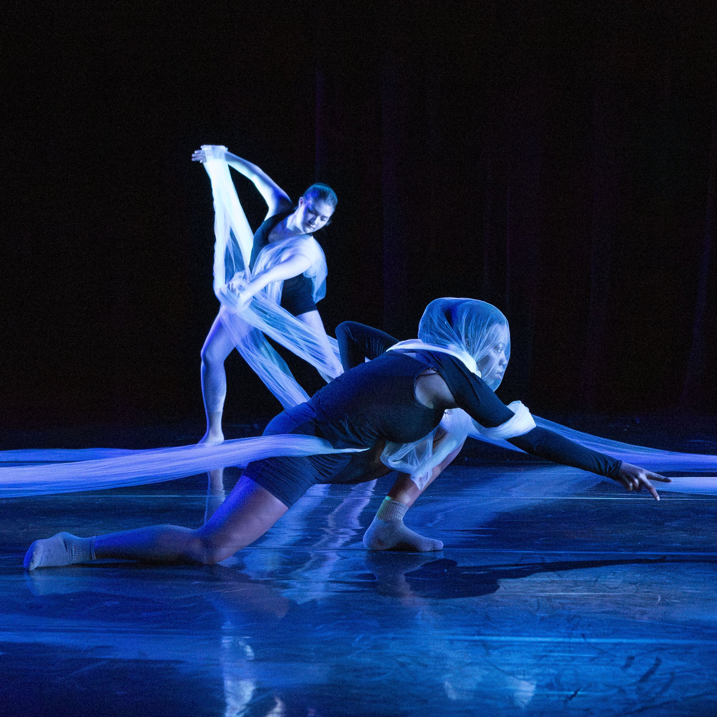 Choreographic Projects