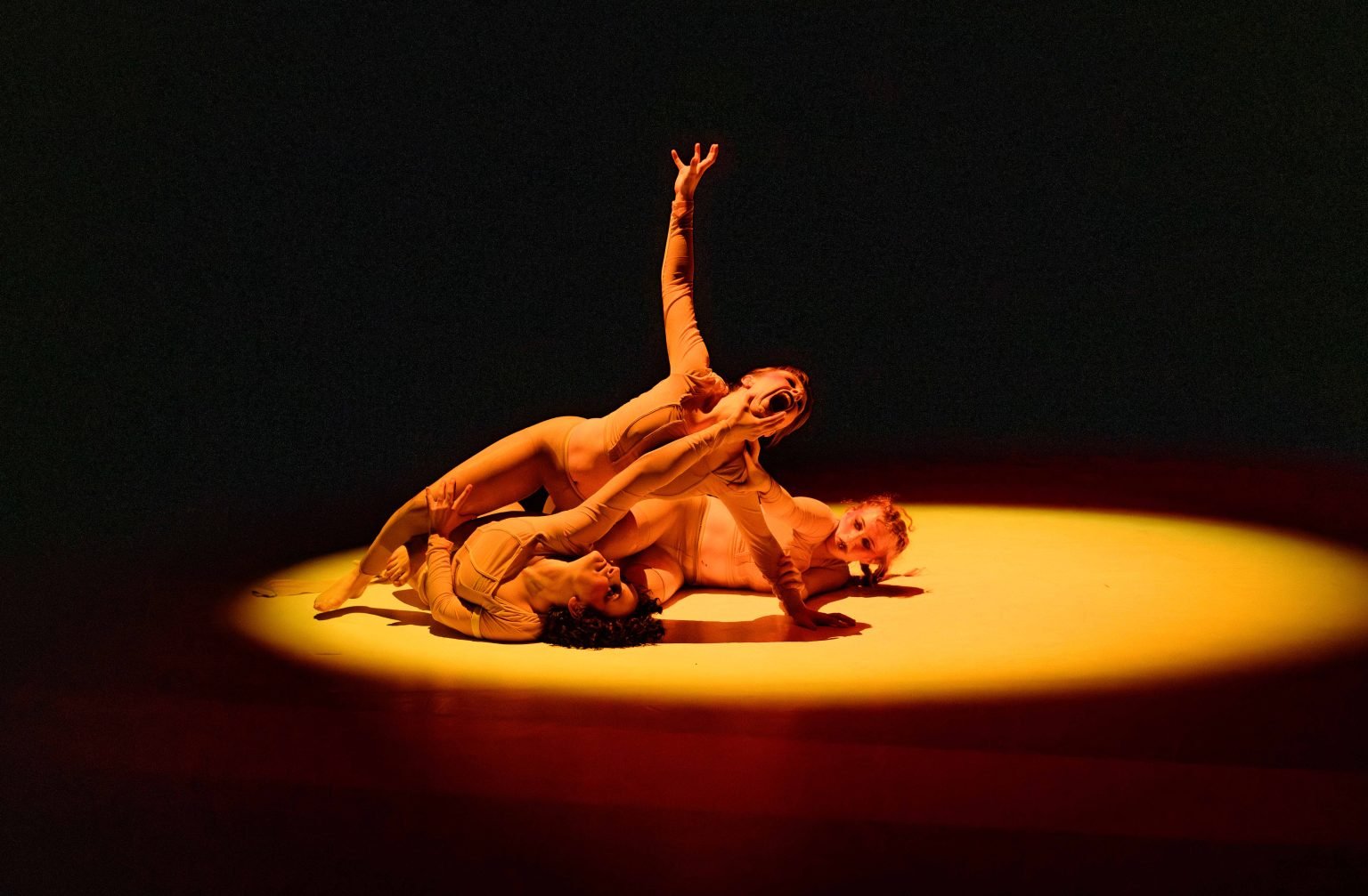 New City Stage Picks MATADORA in its September Top Five