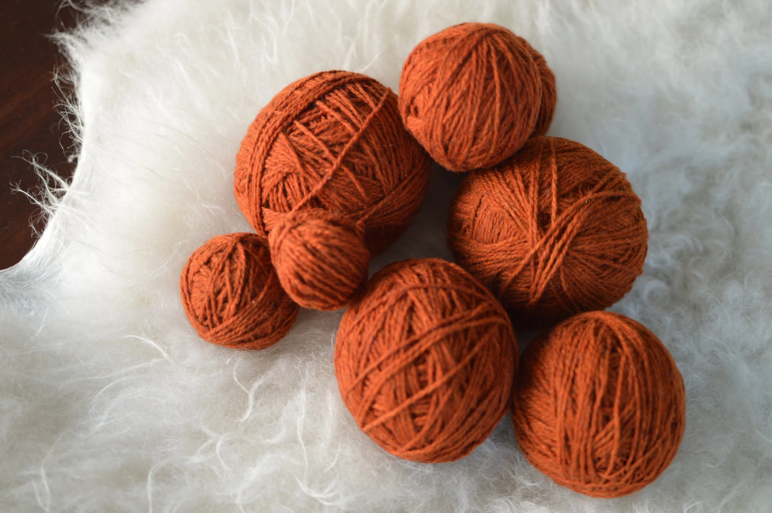 Plucky Rust |  14.JPG