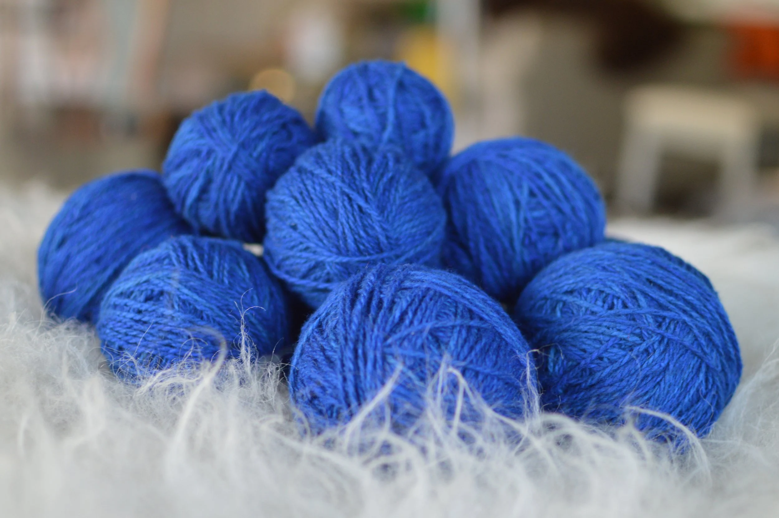 Plucky Blue |  7.JPG