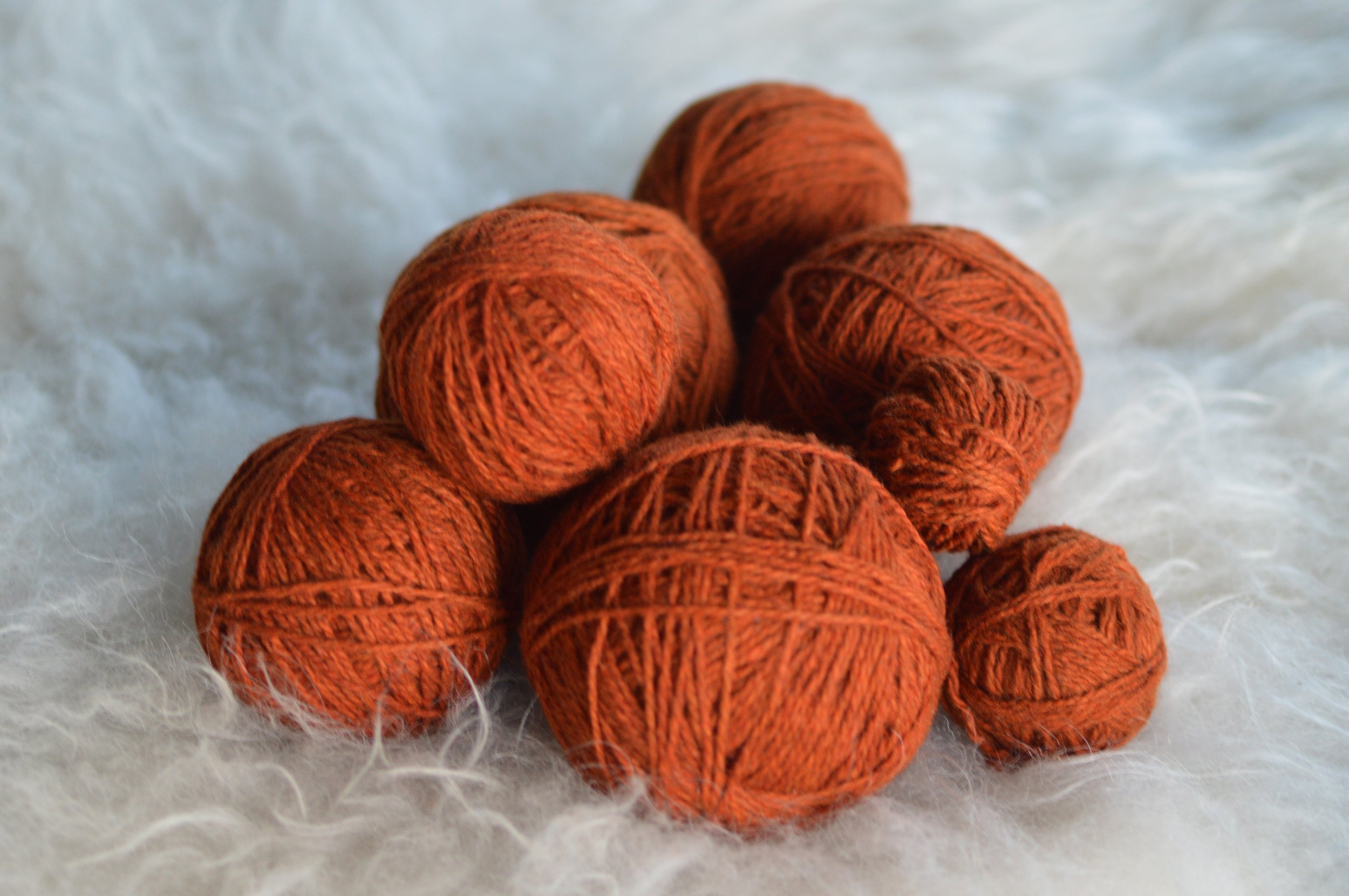 Plucky Rust |  28.JPG