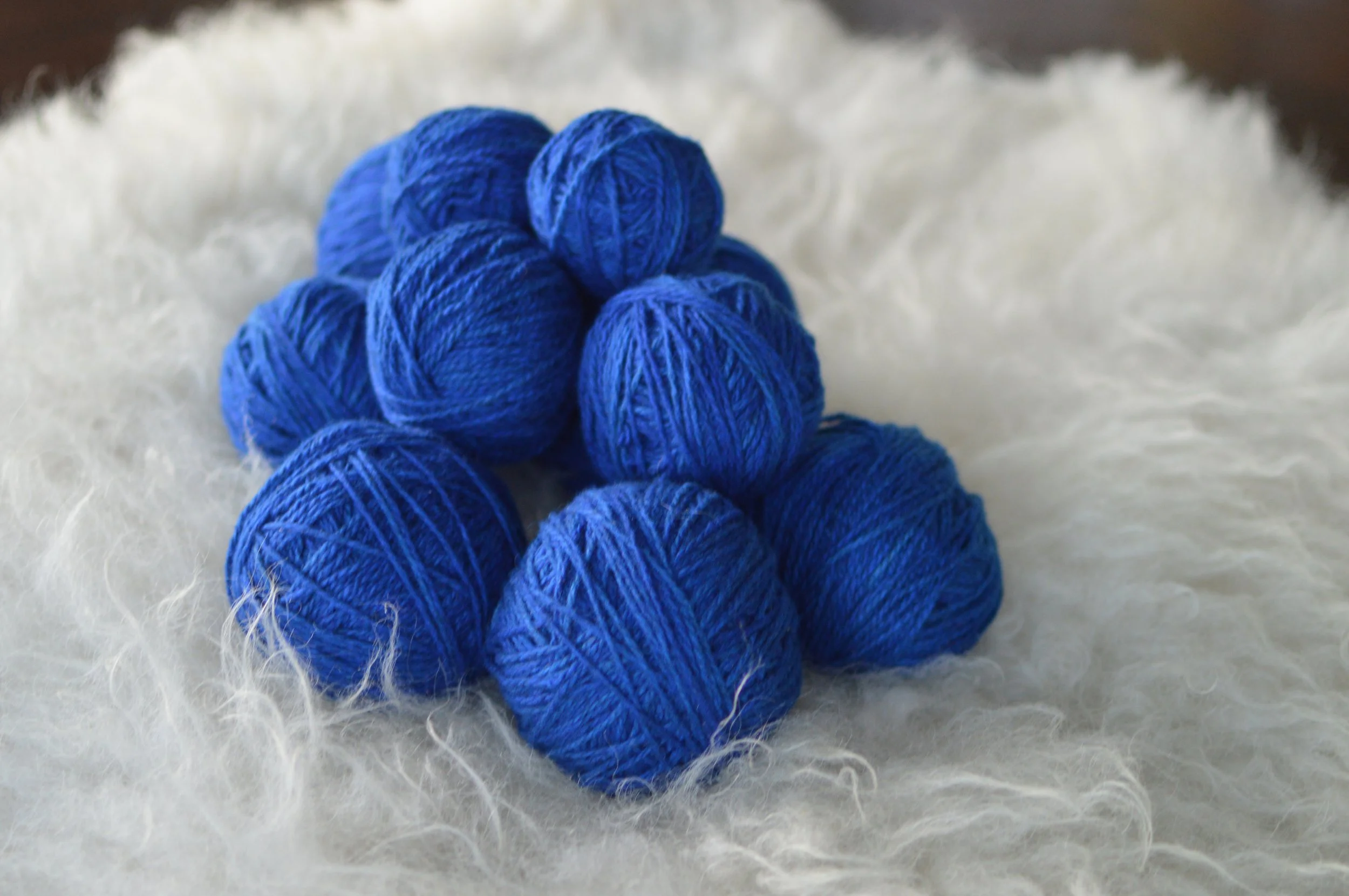 Plucky Blue |  13.JPG