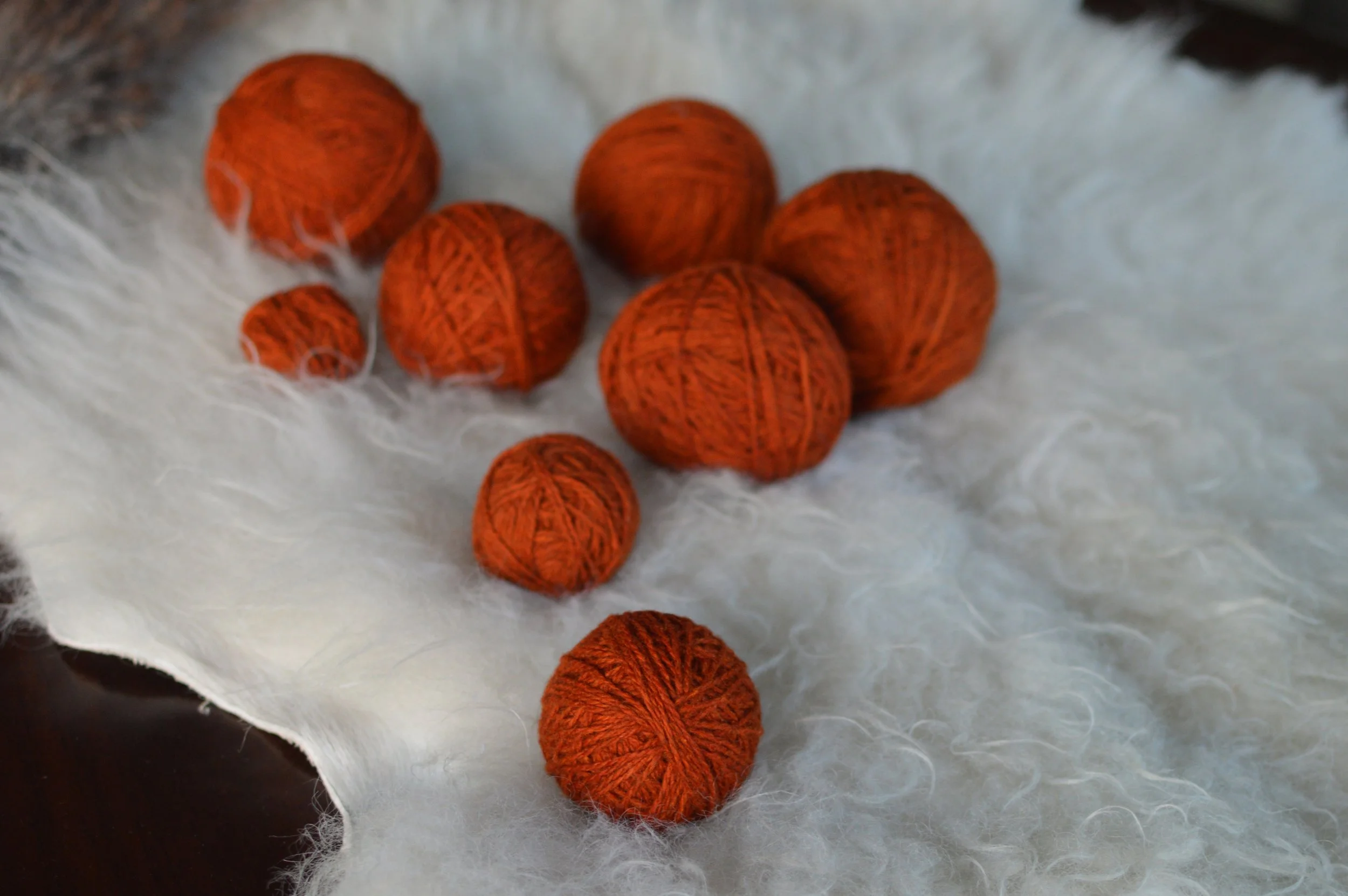 Plucky Rust |  5.JPG