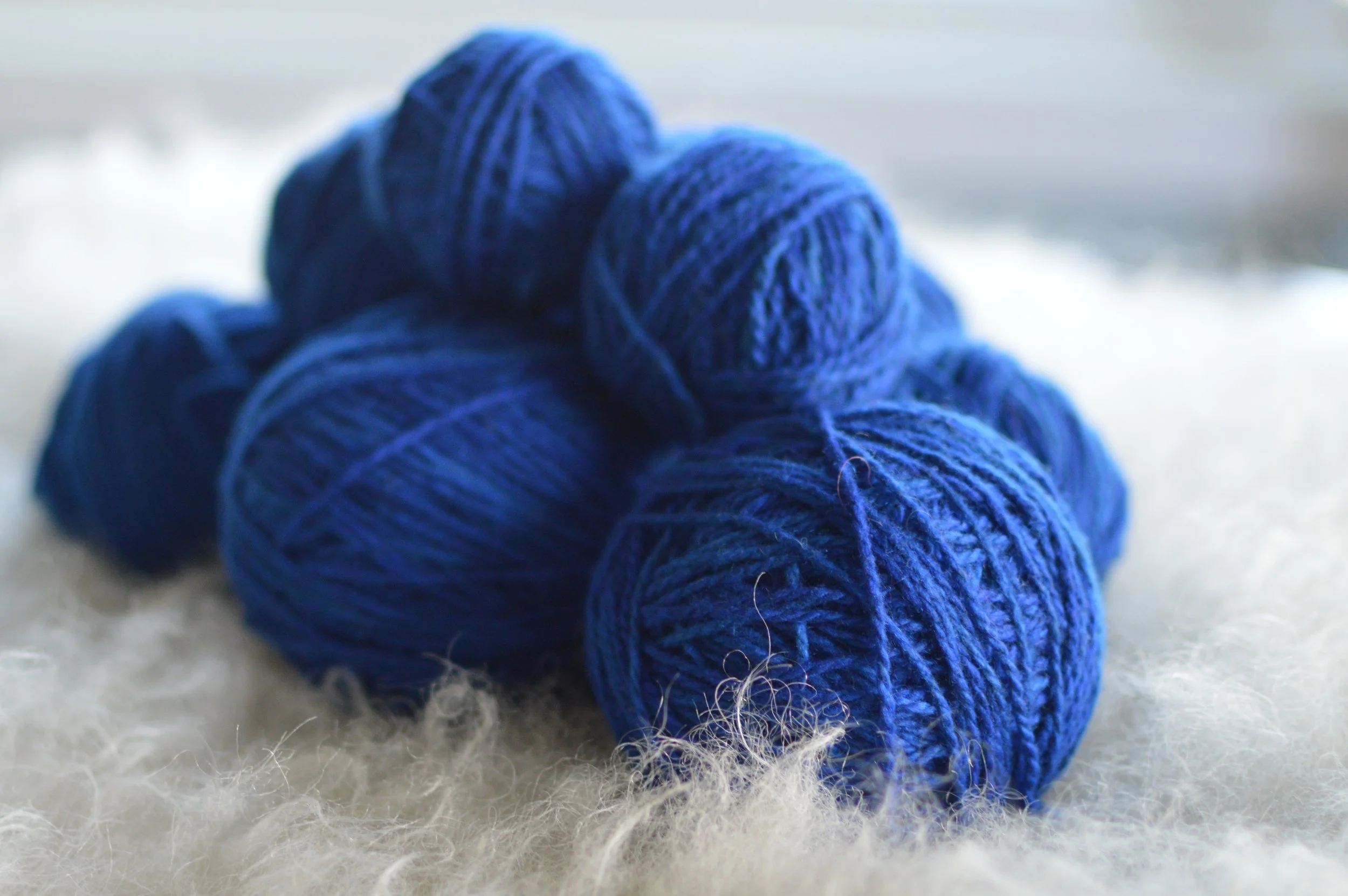 Plucky Blue |  16.JPG