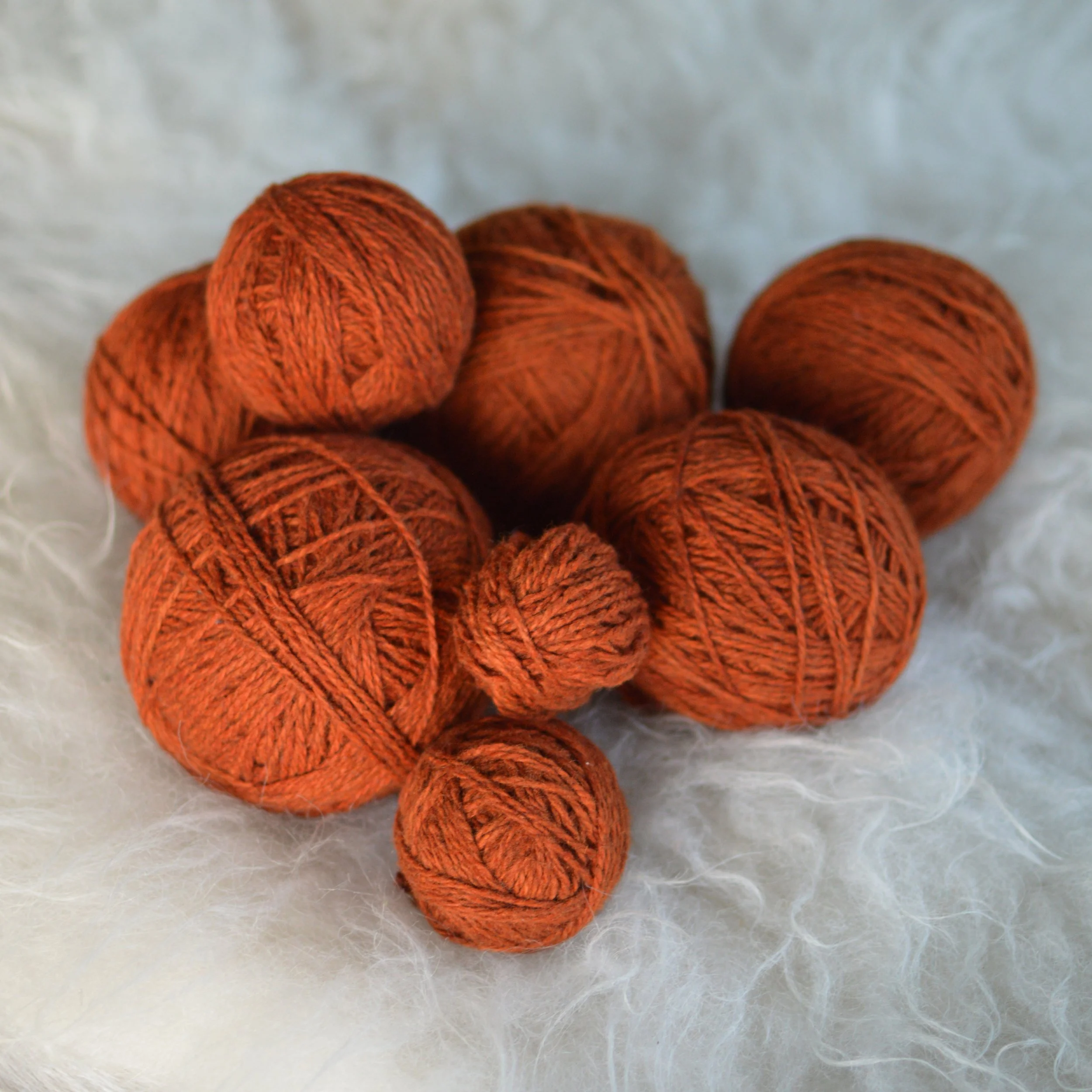 Plucky Rust |  20.JPG