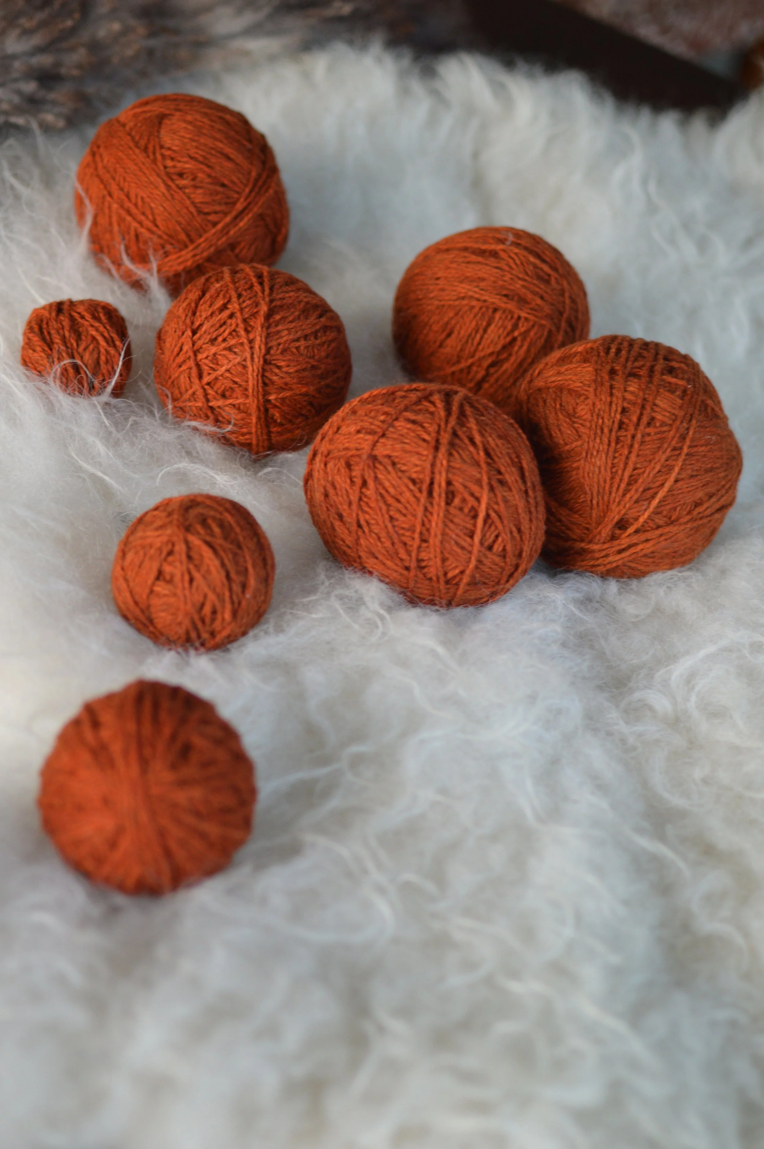 Plucky Rust |  8.JPG