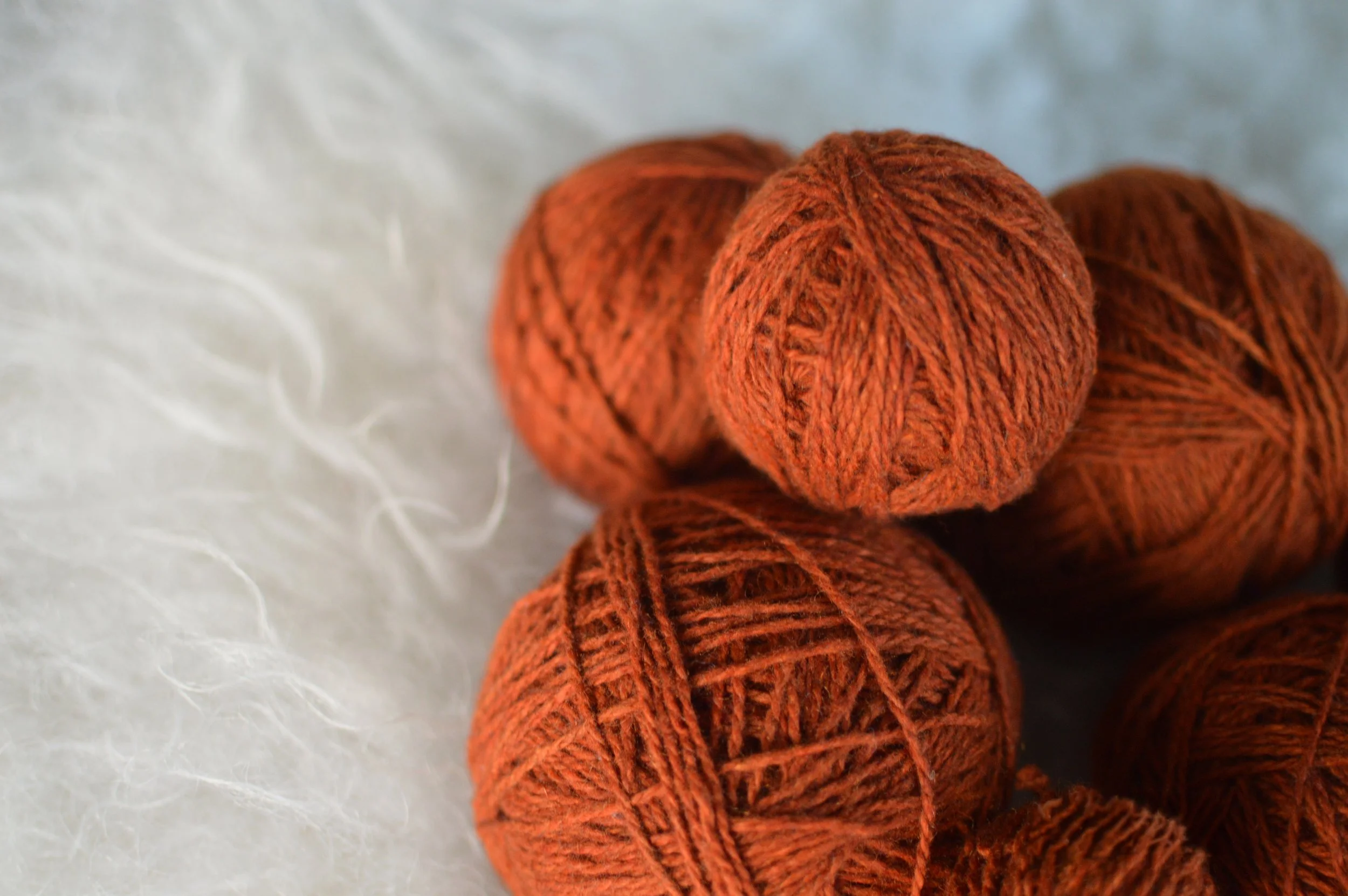 SQ: Plucky Knitter Snug Worsted in Cornucopia + Your Choice Pattern