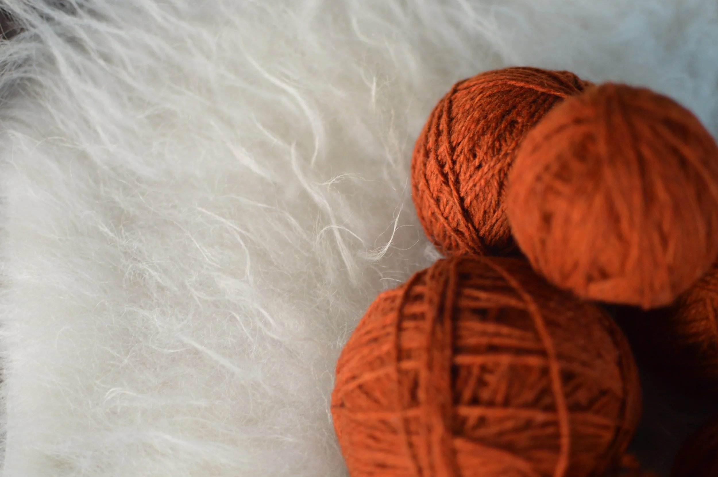 Plucky Rust |  24.JPG