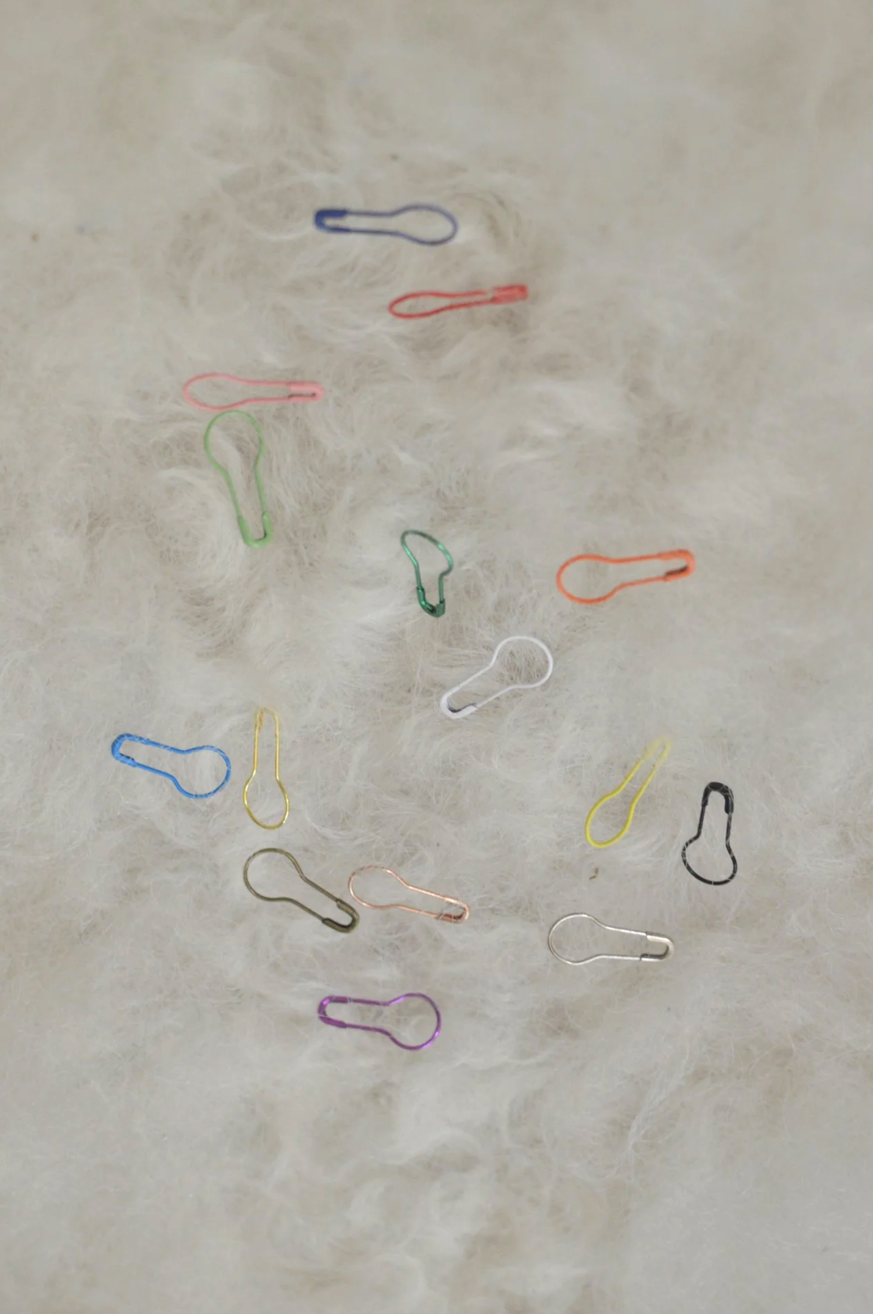 DSC_0239.png