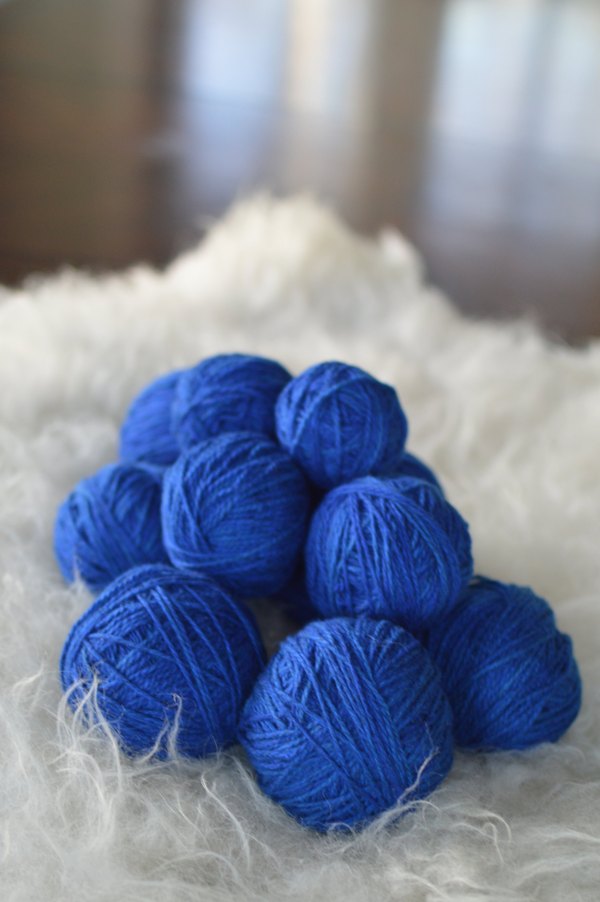 Plucky Blue |  12.JPG