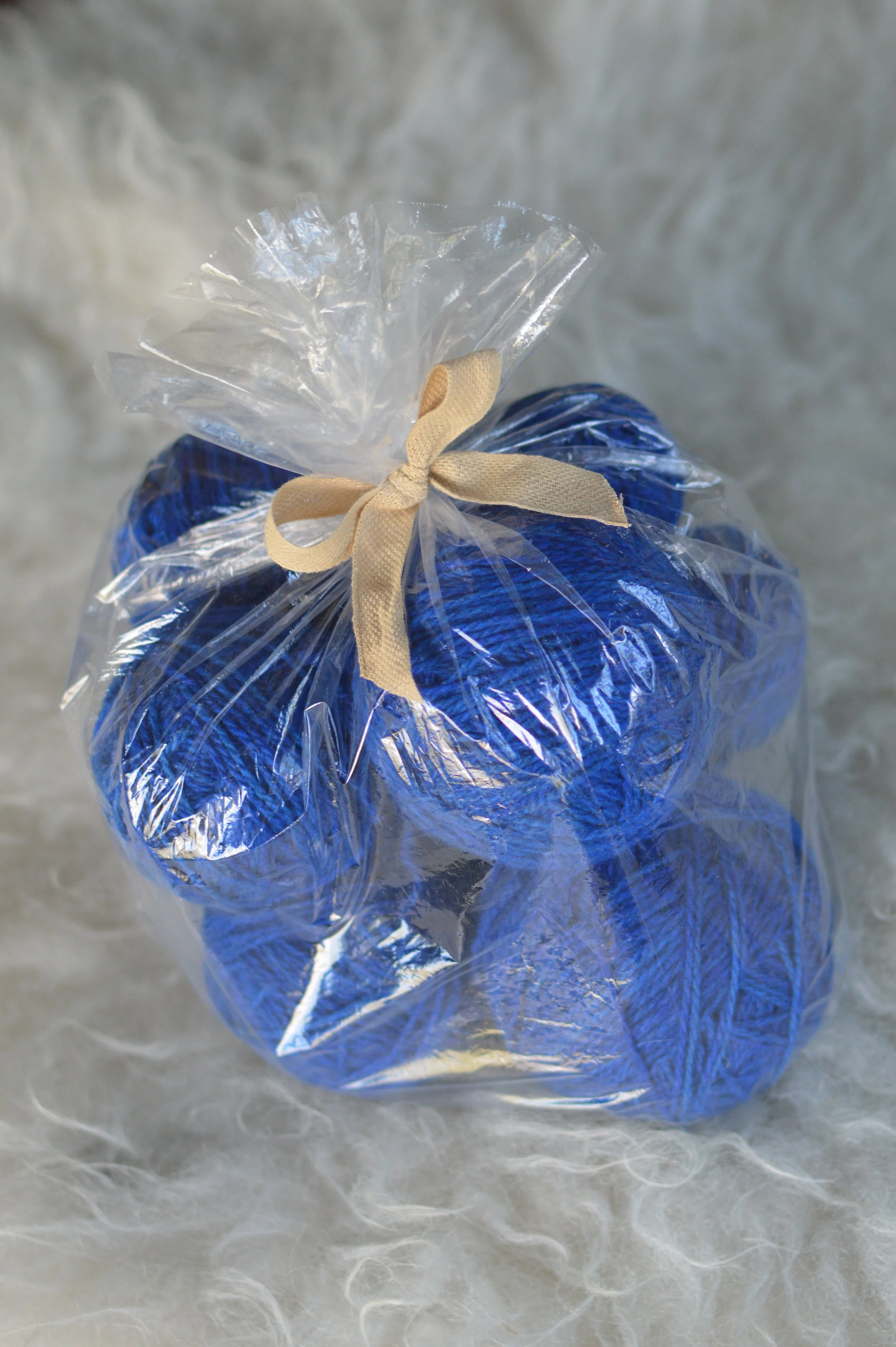 Plucky Blue |  23.JPG