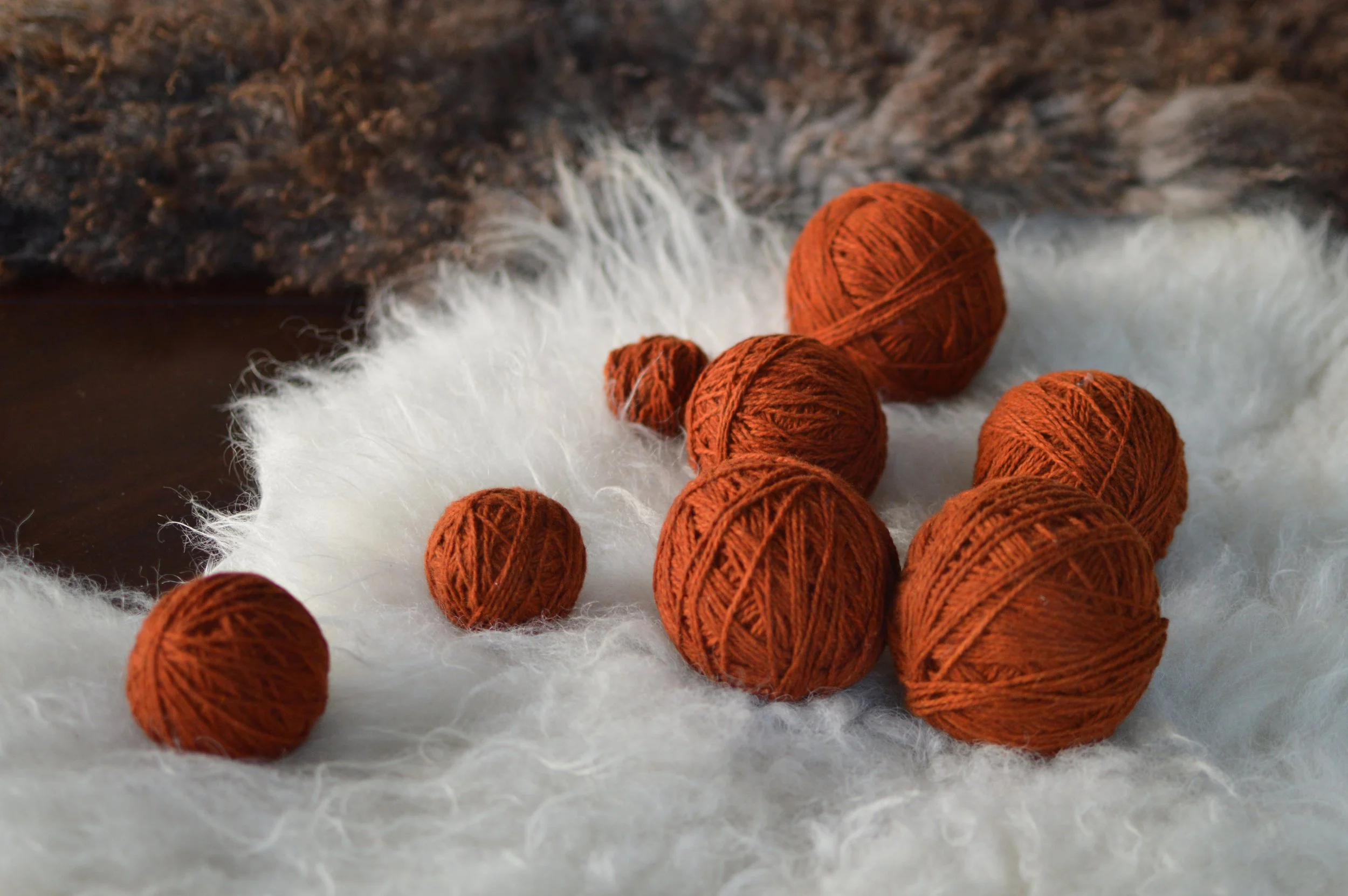 Plucky Rust |  10.JPG