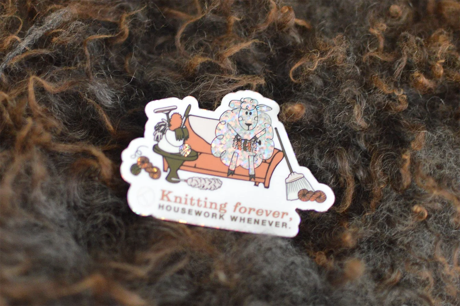 Glitter Housework | 00002.JPG.jpg