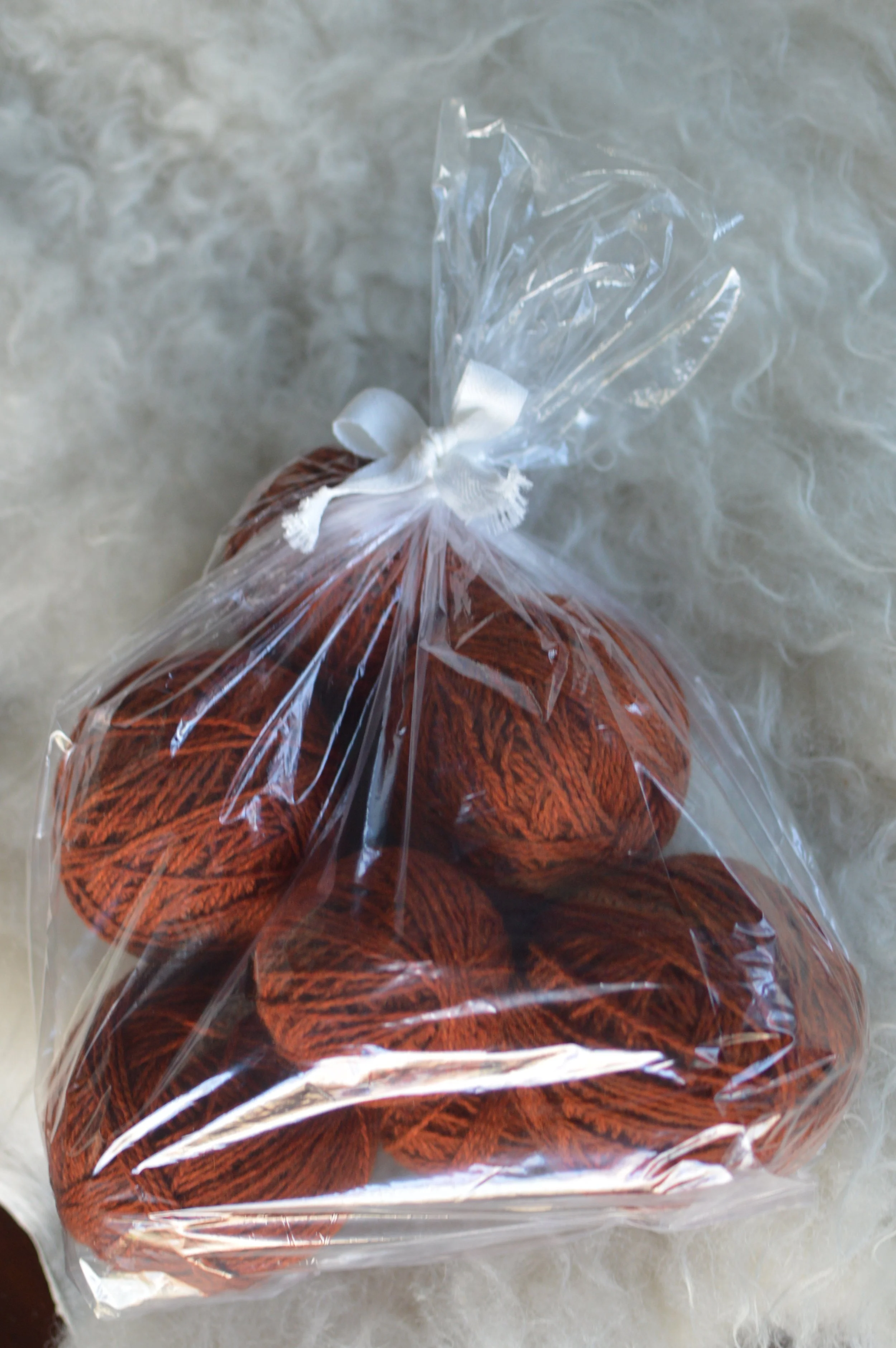 Plucky Rust |  29.JPG