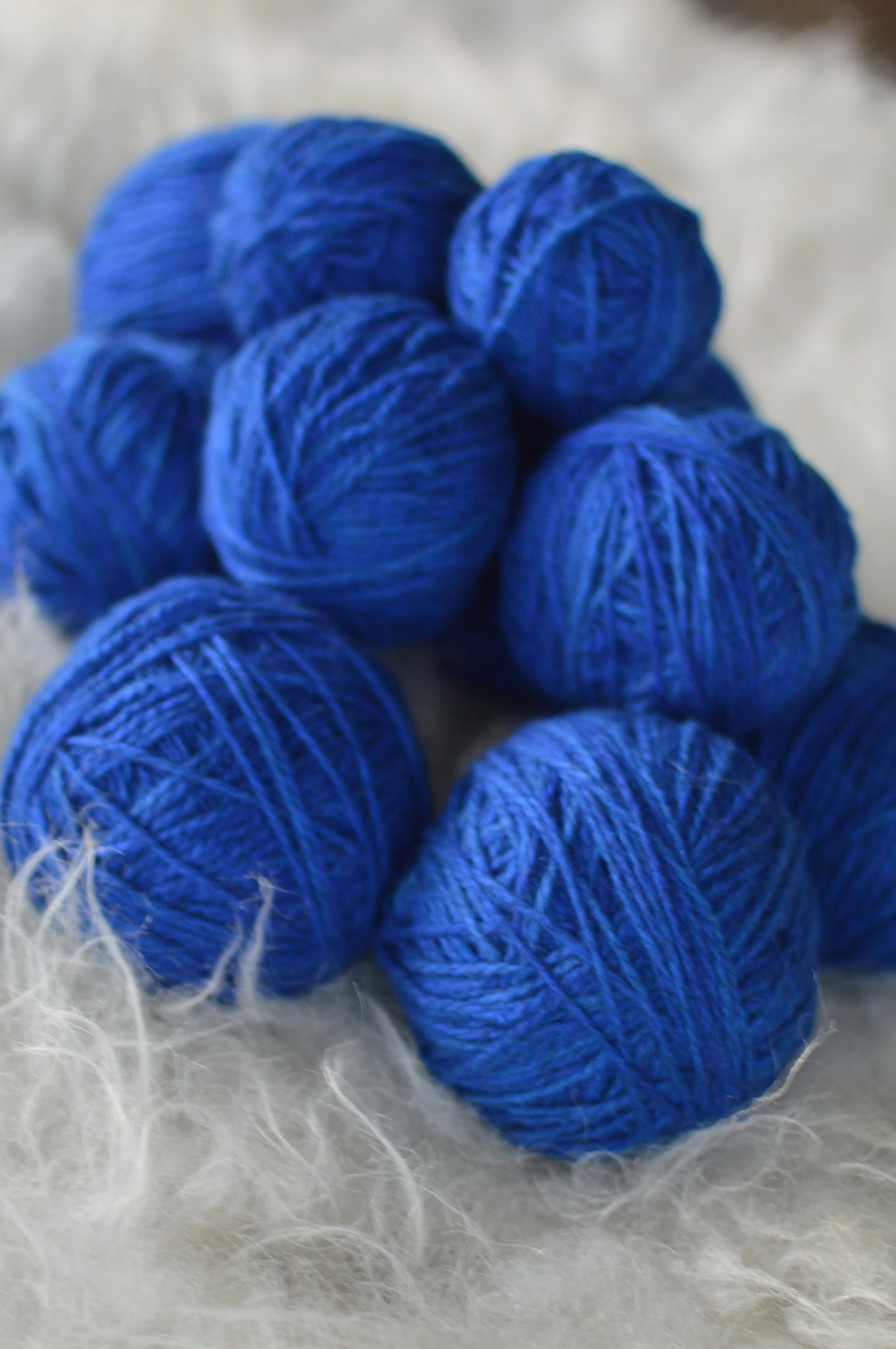 Plucky Blue |  11.JPG