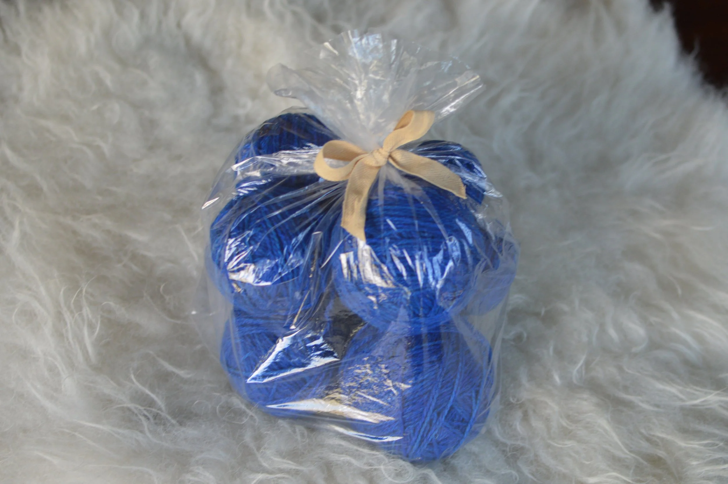 Plucky Blue |  25.JPG