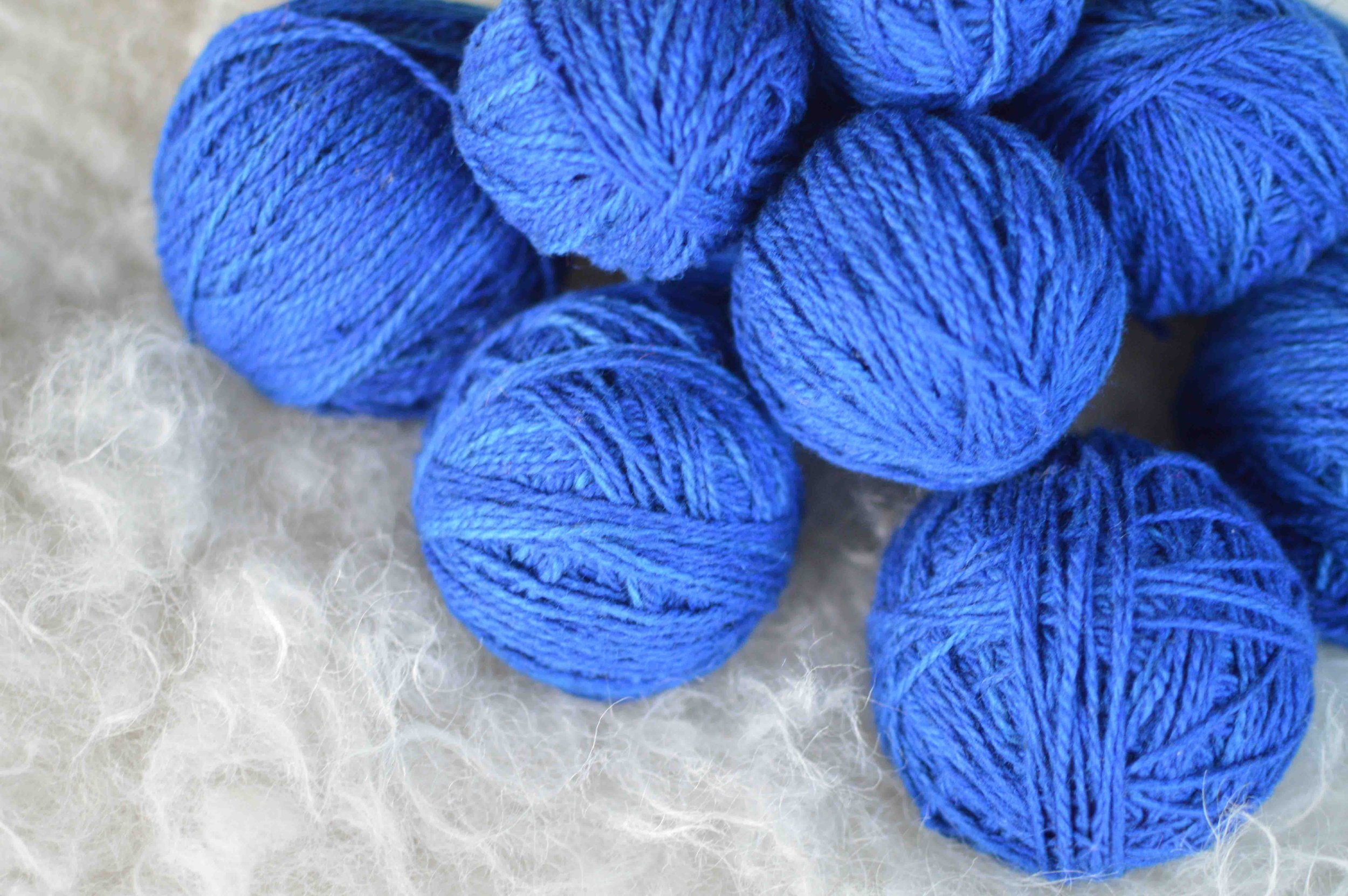 Plucky Blue |  15.JPG