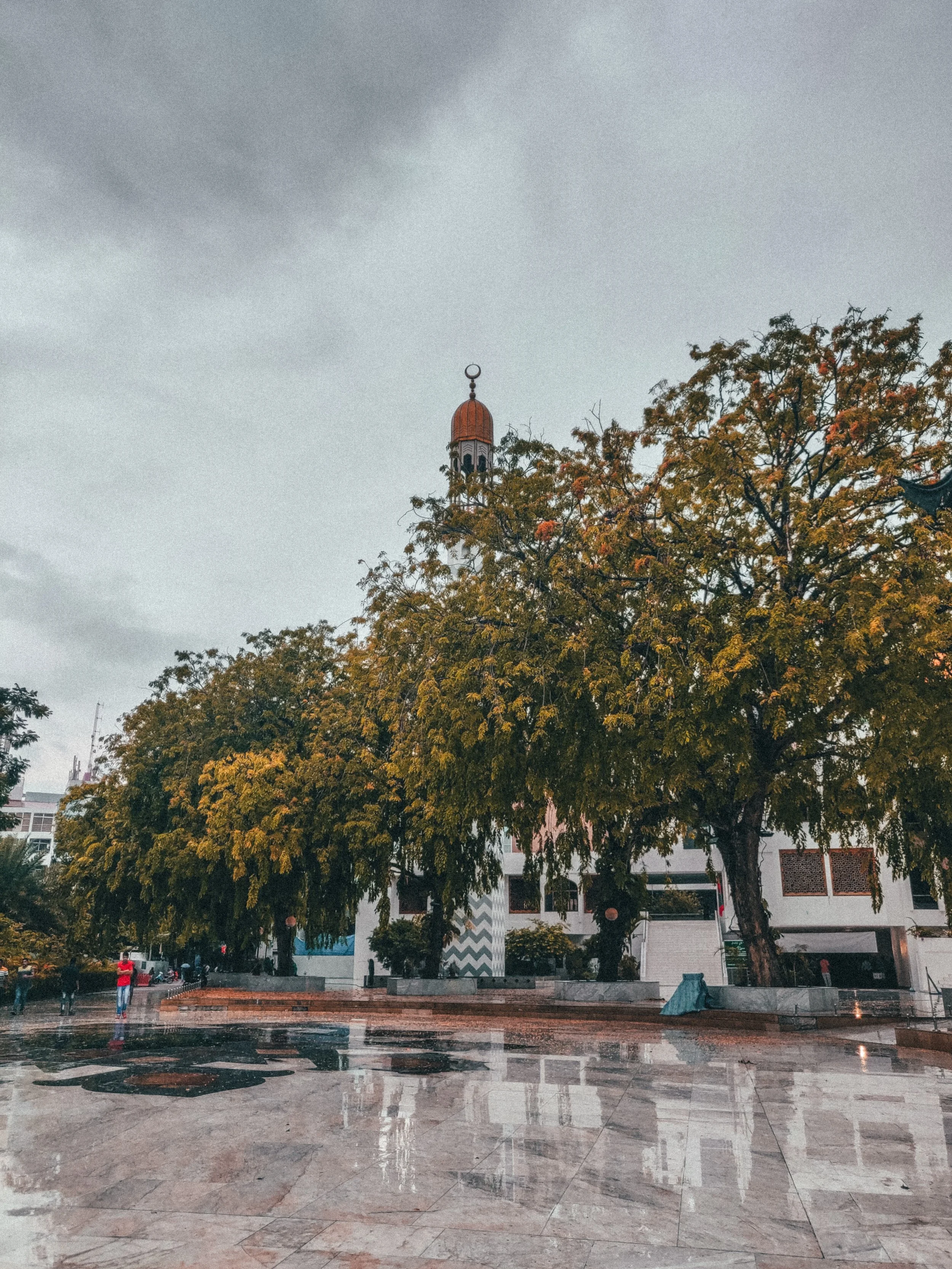 ibrahim-shabil-W3mBTqk0JSU-unsplash.jpg