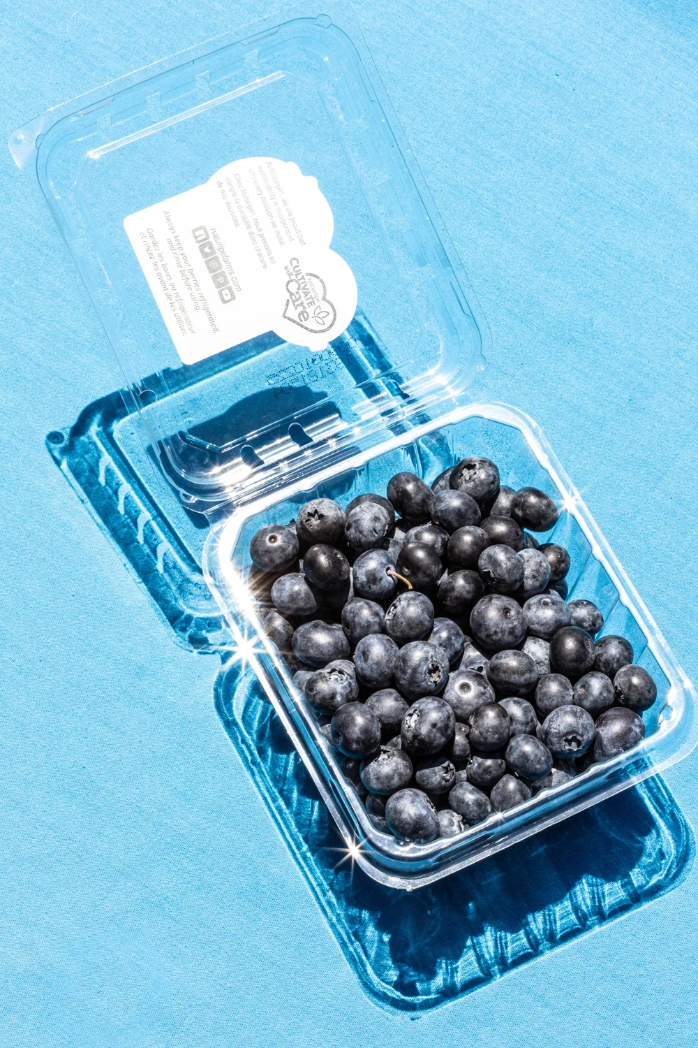 JACKELIN SLACK PHOTOGRAPHER | PACKAGED BLUEBERRIES