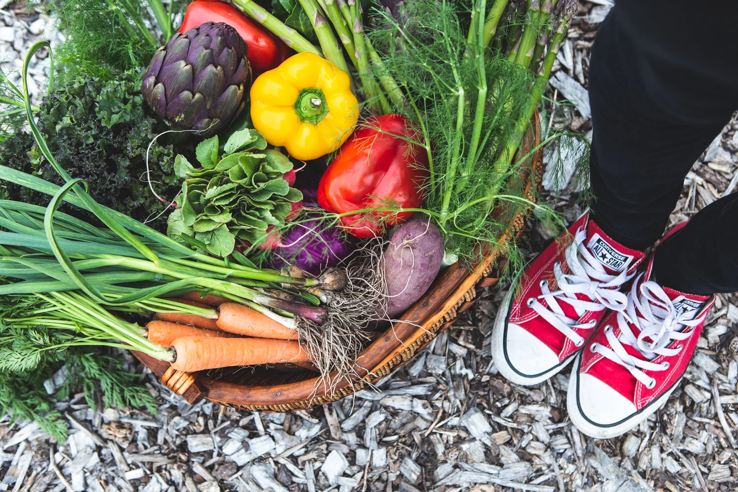JACKELIN SLACK FOOD PHOTOGRAPHER | THE HARVEST