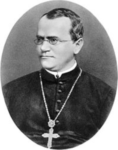 Mendel