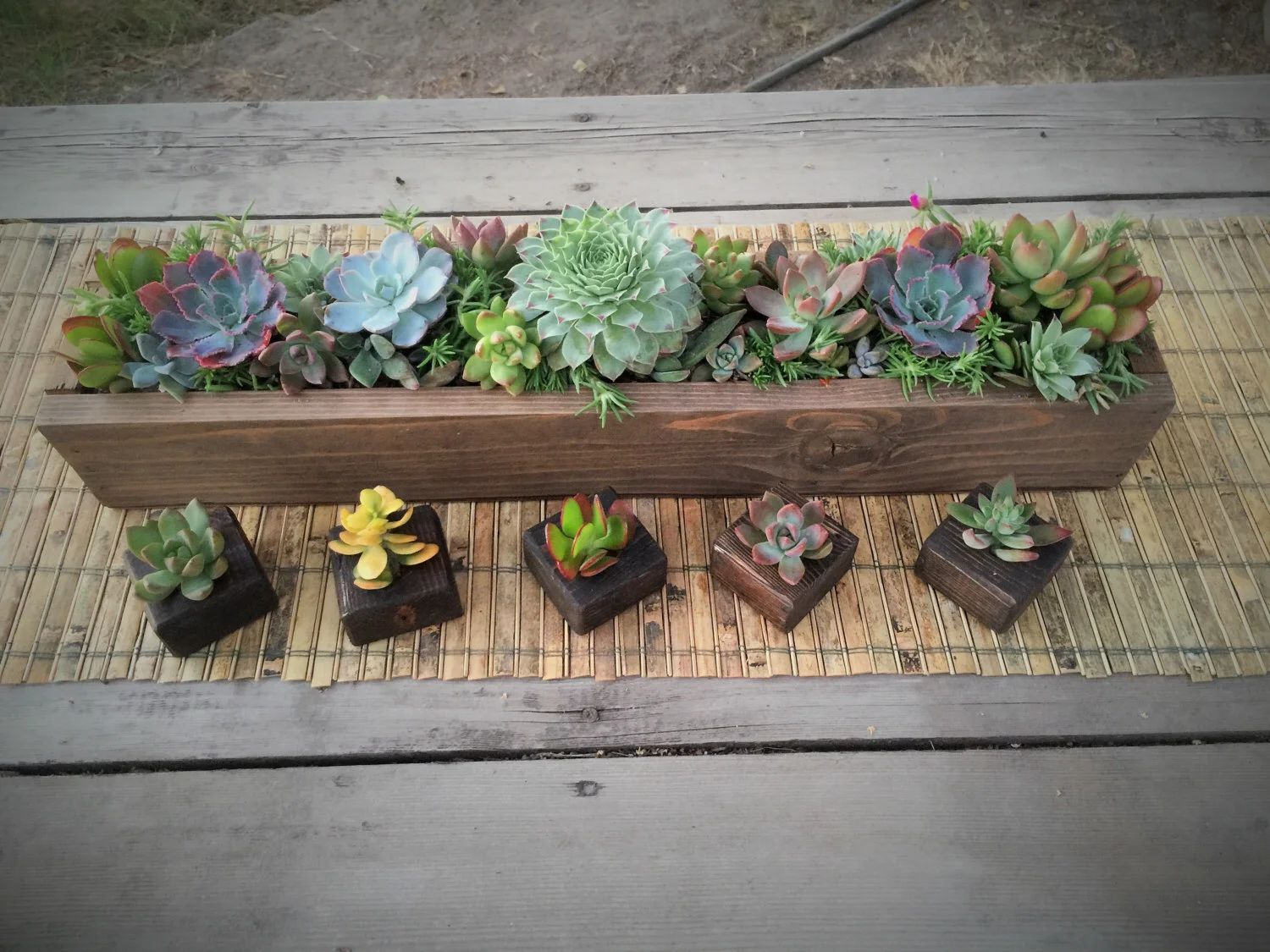 succulent planter.jpg