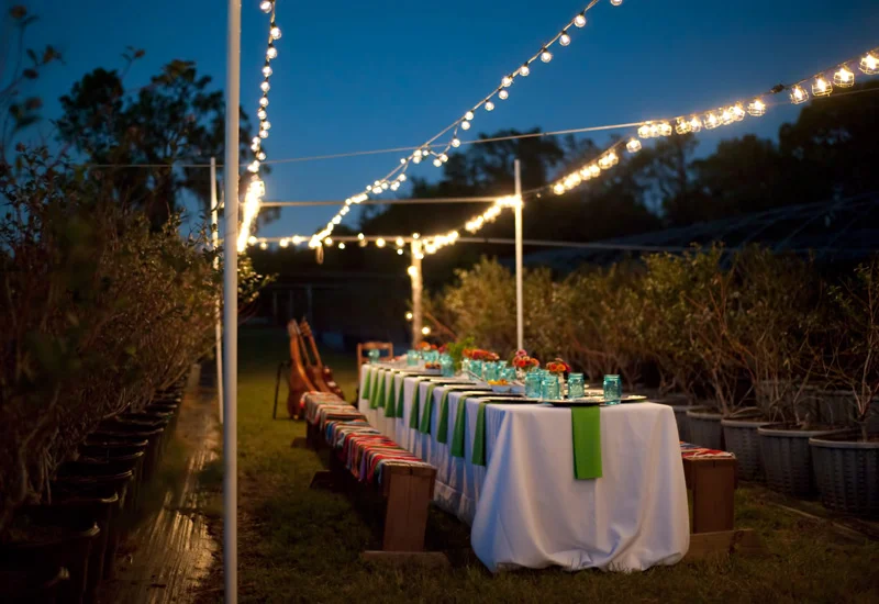 Farm-to-Table-Dinner.jpg