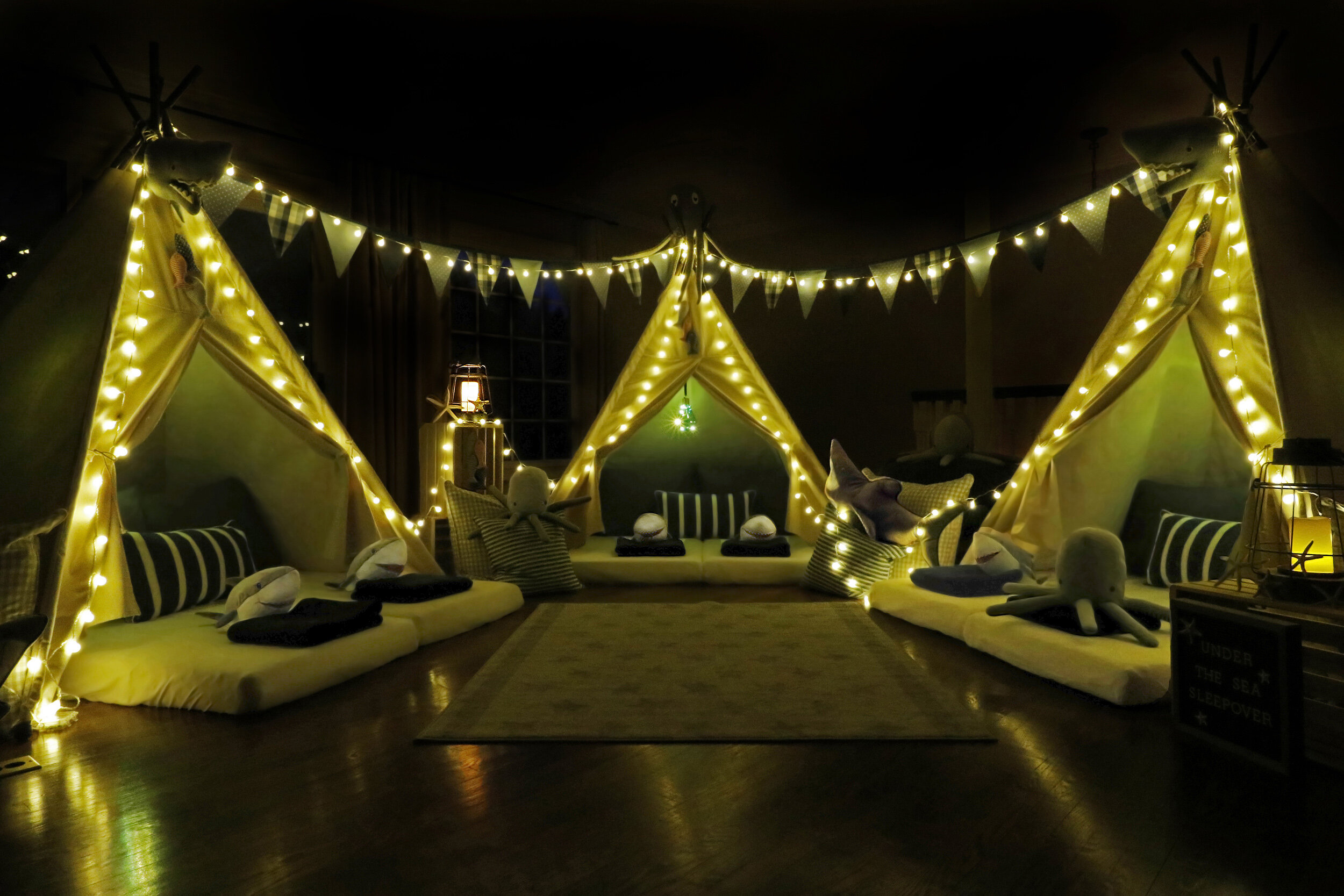 Sleepover Party Rentals For Kids & Adults — Dream & Party