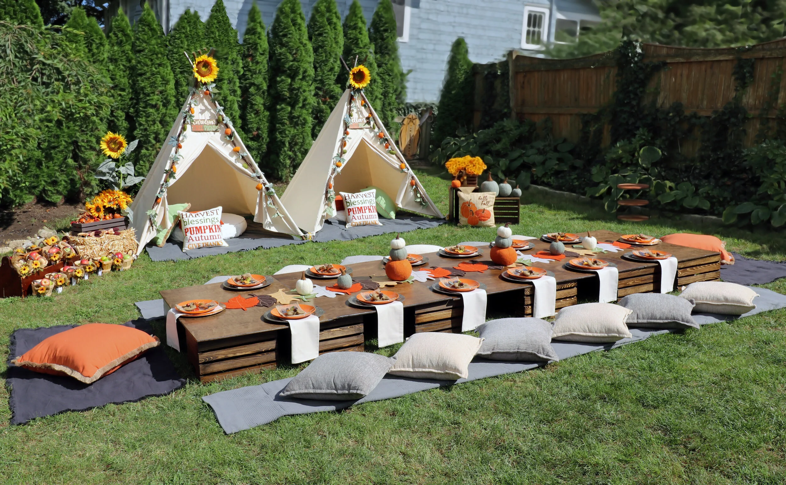 Outdoor Picnic Party Rentals - Decor & Props - Kids Parties — Dream & Party