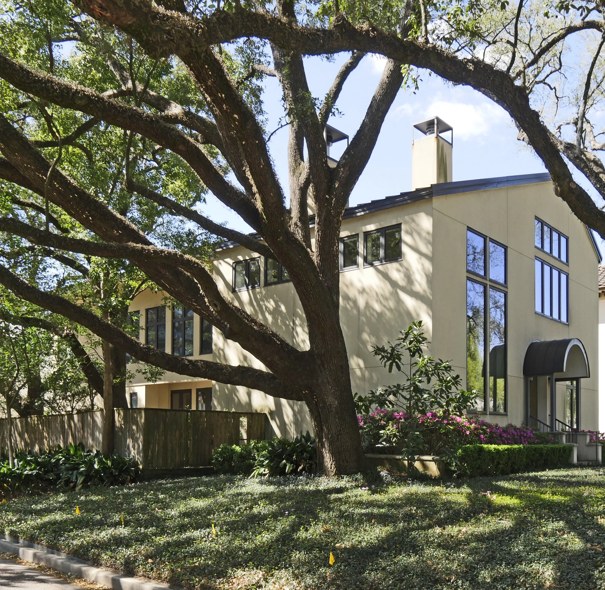 Historic trees, preserved and protected
