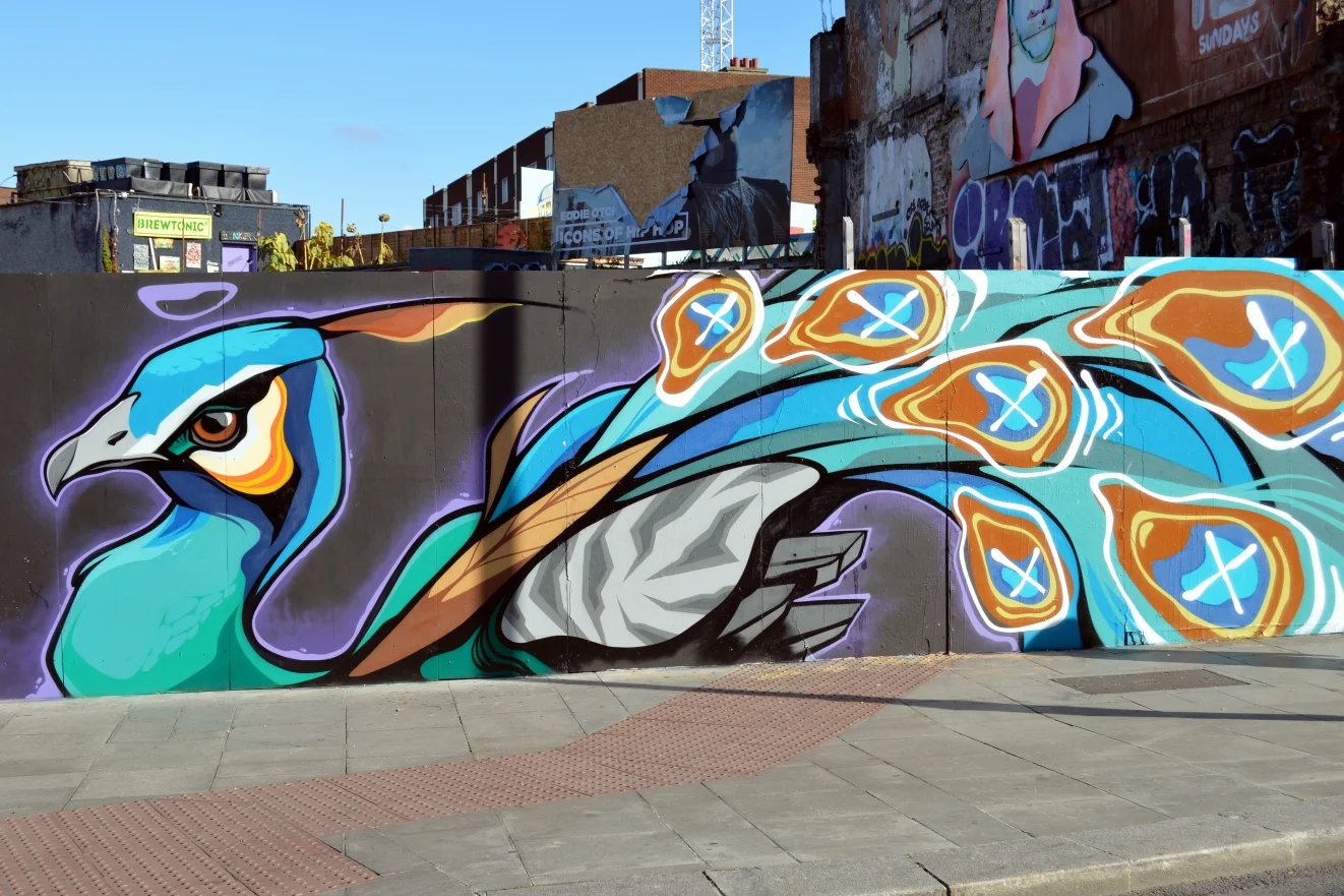 Peacock