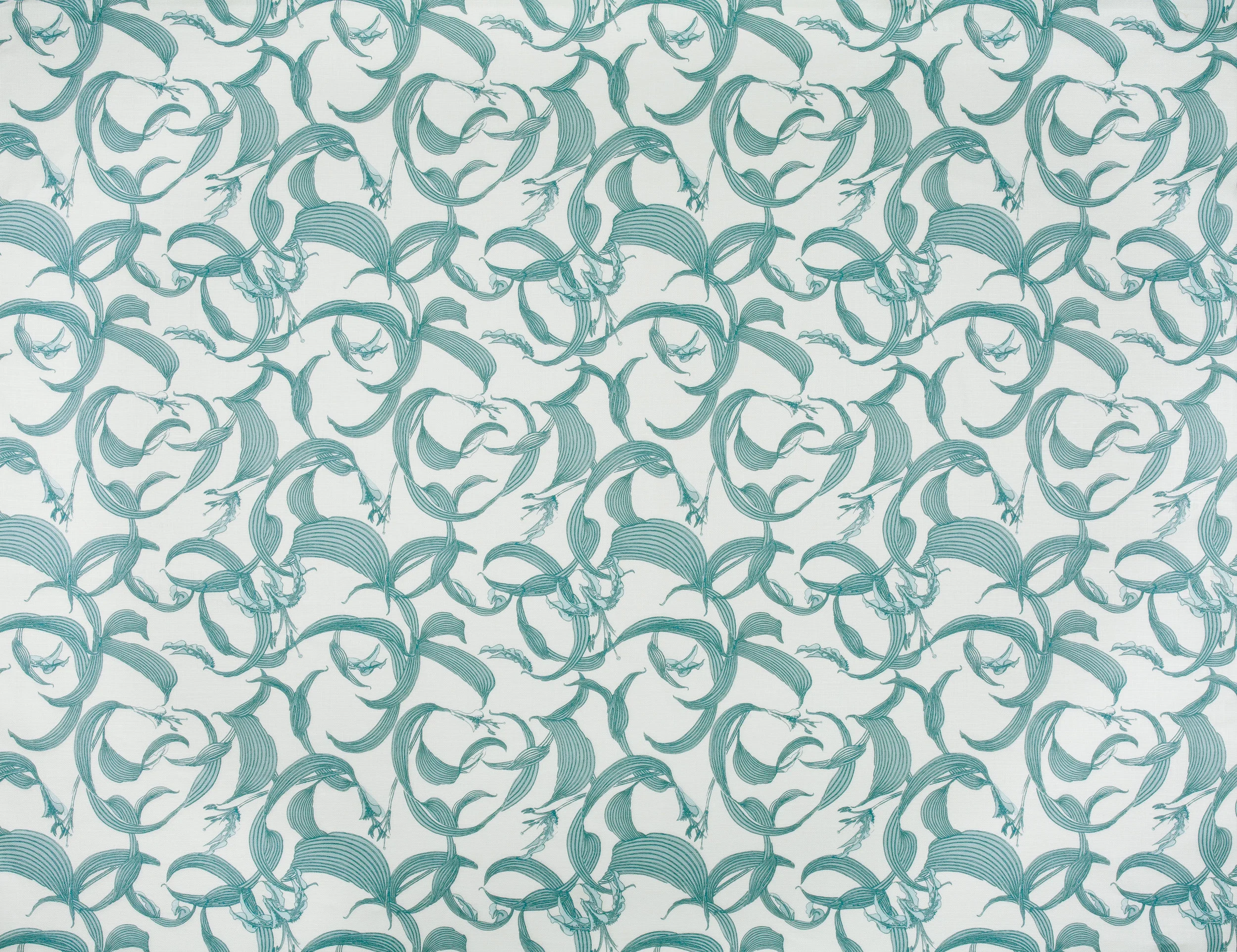 1W6A0952Lilium_GrayBlue.jpg