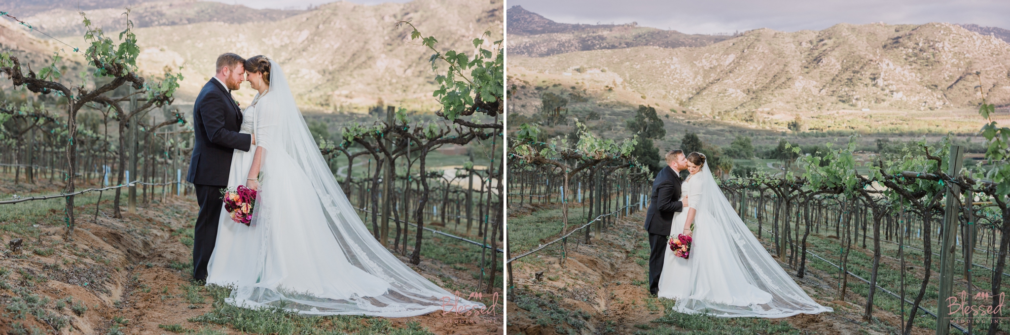 Orfila Vinery Wedding Temecula Wedding Photographer 28.jpg